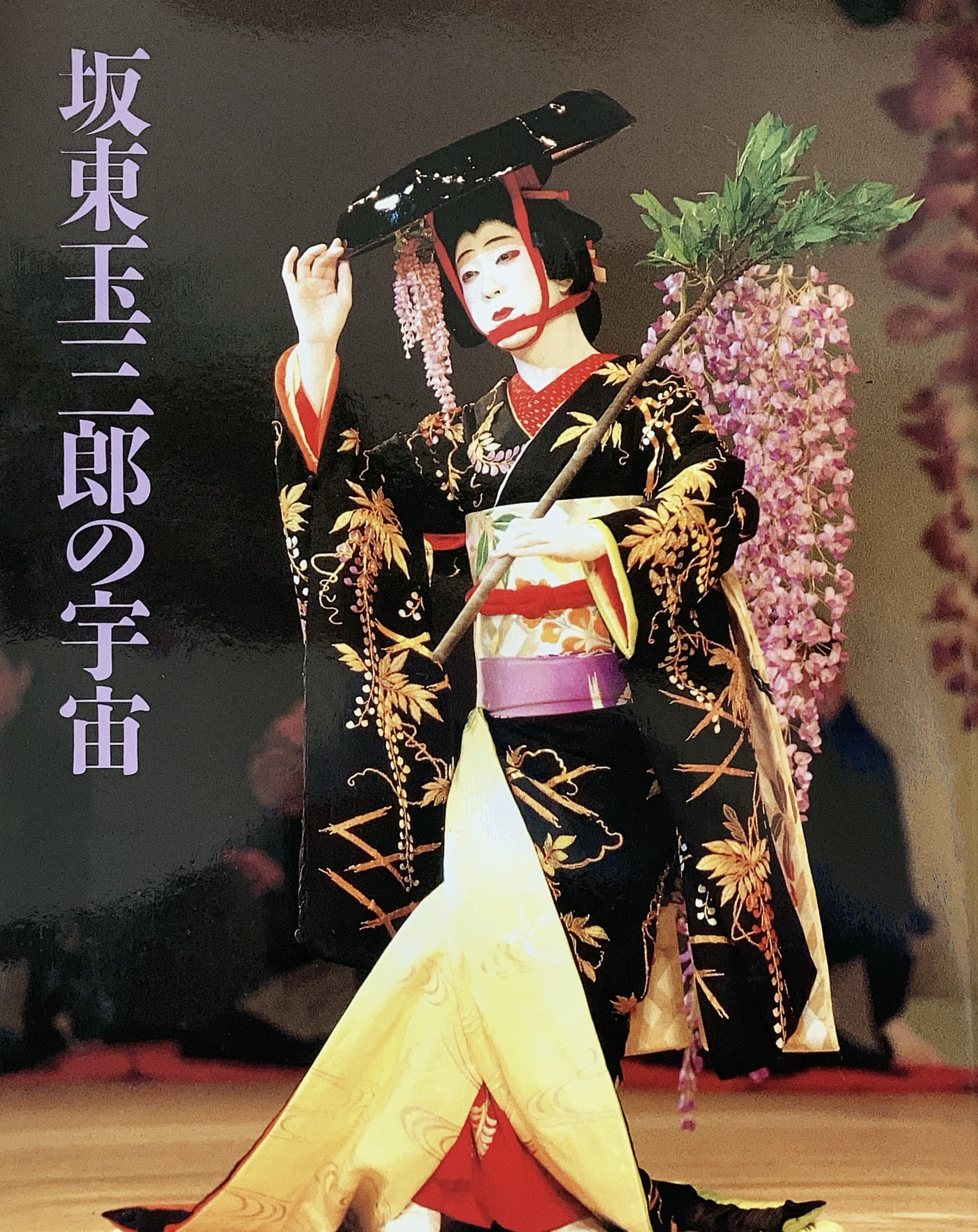 坂東玉三郎の宇宙』 【うちの本棚】＃歌舞伎｜ききょう