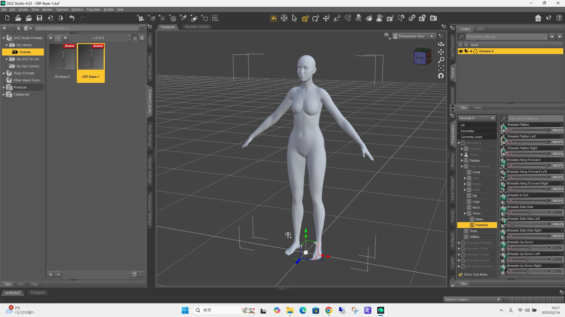 顔形状の微調整に Face Transfer Shapes 2 を試す - 半額セール中｜DAZ