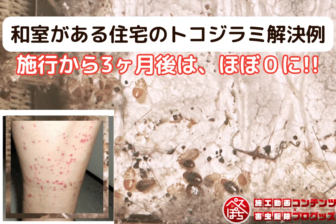 ベクトロンSPの購入方法・価格・効果を比較した完全ガイド｜害虫獣SOS