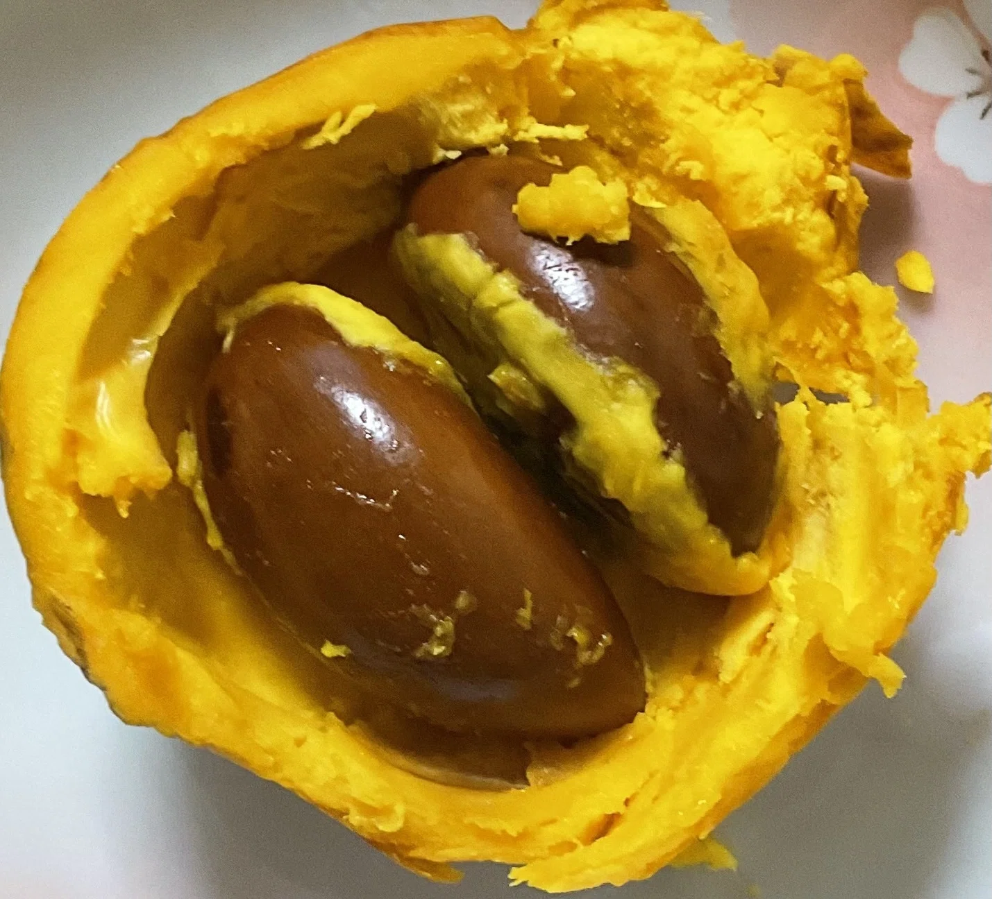 たかしの菜園日記 宮古島のカニステル｜たかし