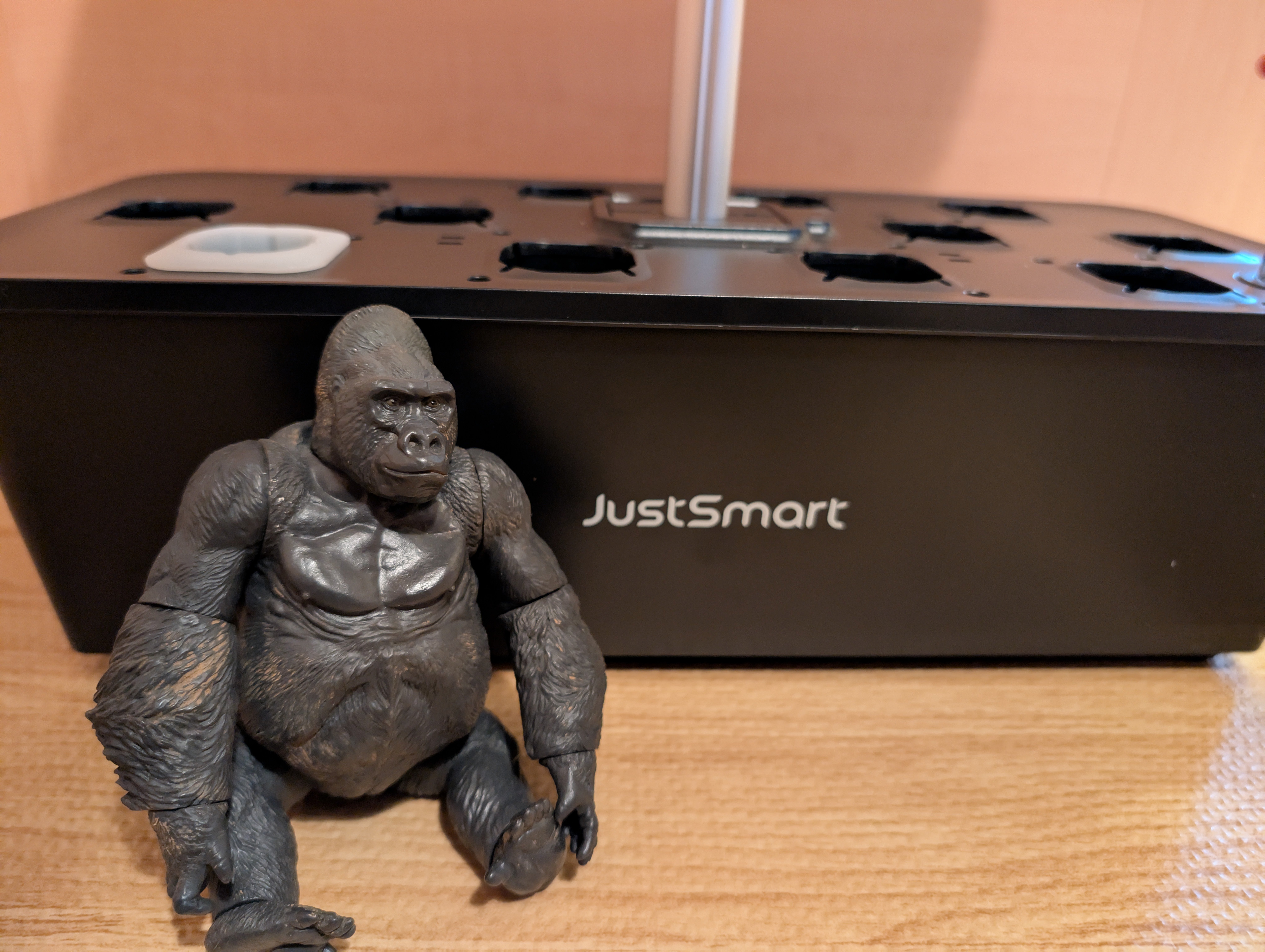 ゴリラ水耕栽培はじめるってよ｜gorillaz555