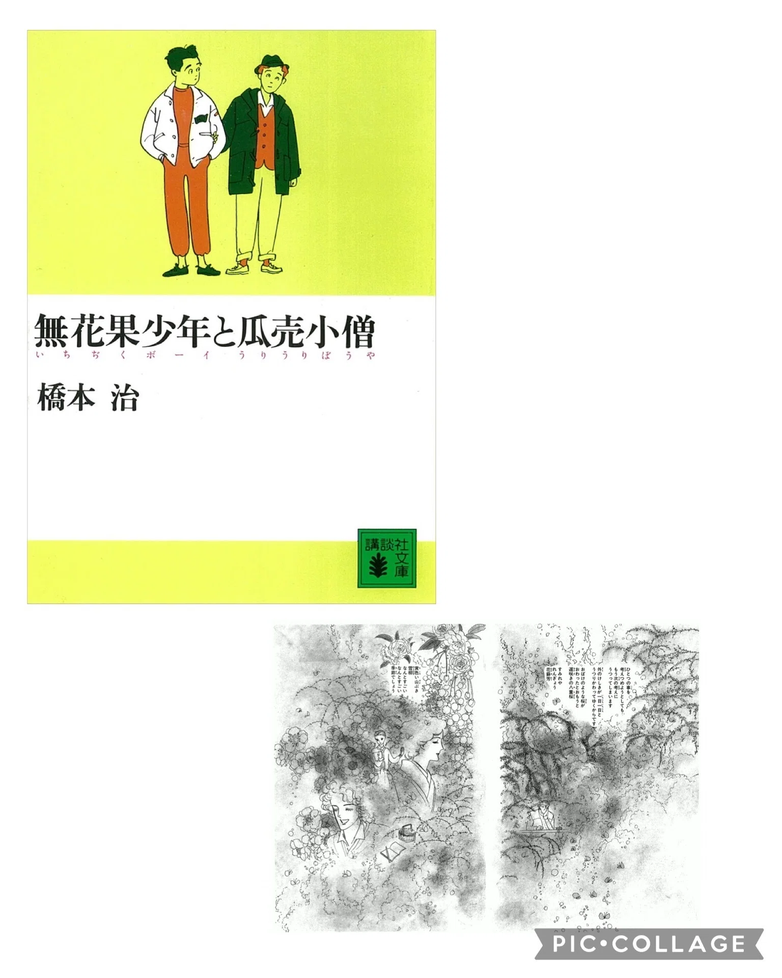 橋本治著「無花果少年と瓜売小僧」〜桃尻娘シリーズ第四作は男の子の話