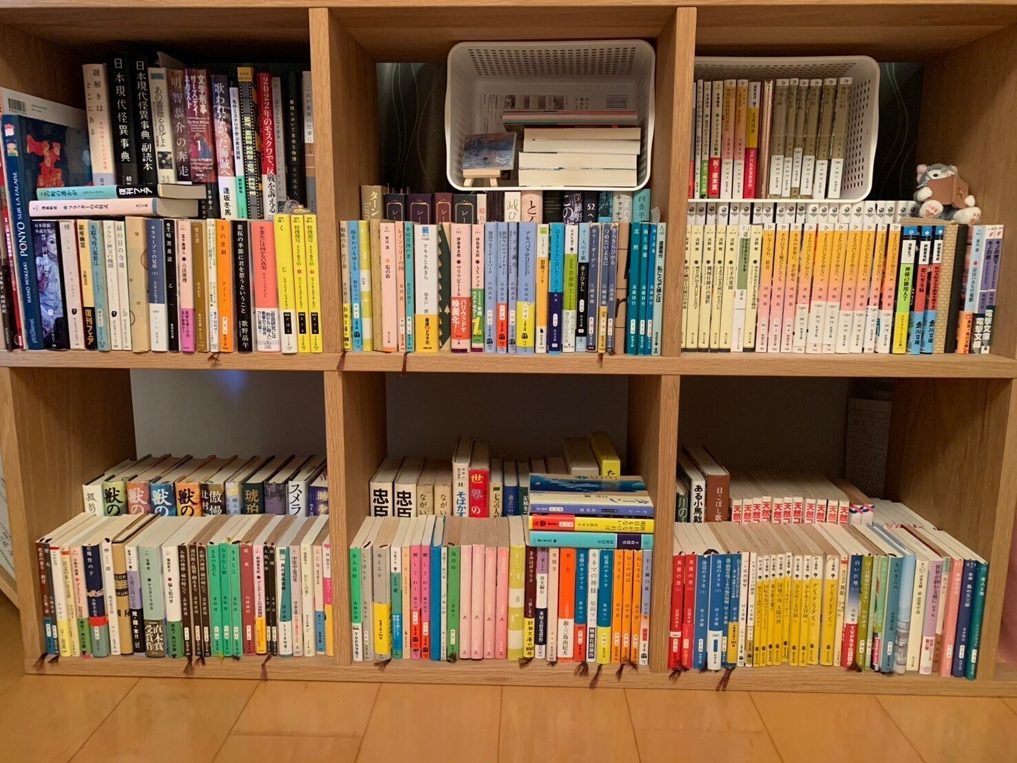 マス研員の本棚企画 vol.6】ミステリーとファンタジー 好きを貫く本棚