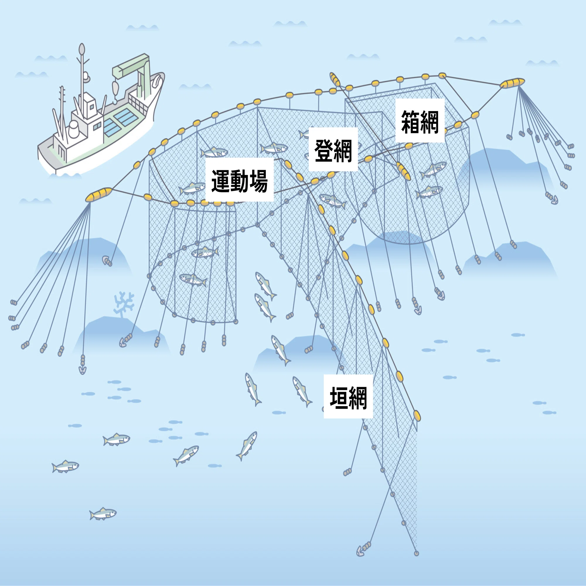 富戸漁港の定置網漁 ～150年続く、伝統的な漁法を学ぶ～｜Chefs for