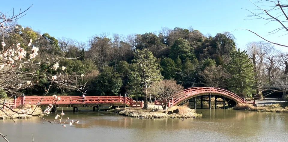 Shomyo 19. Shomyo-ji Temple's Pure Land Garden and the Two-Span Bridge ...