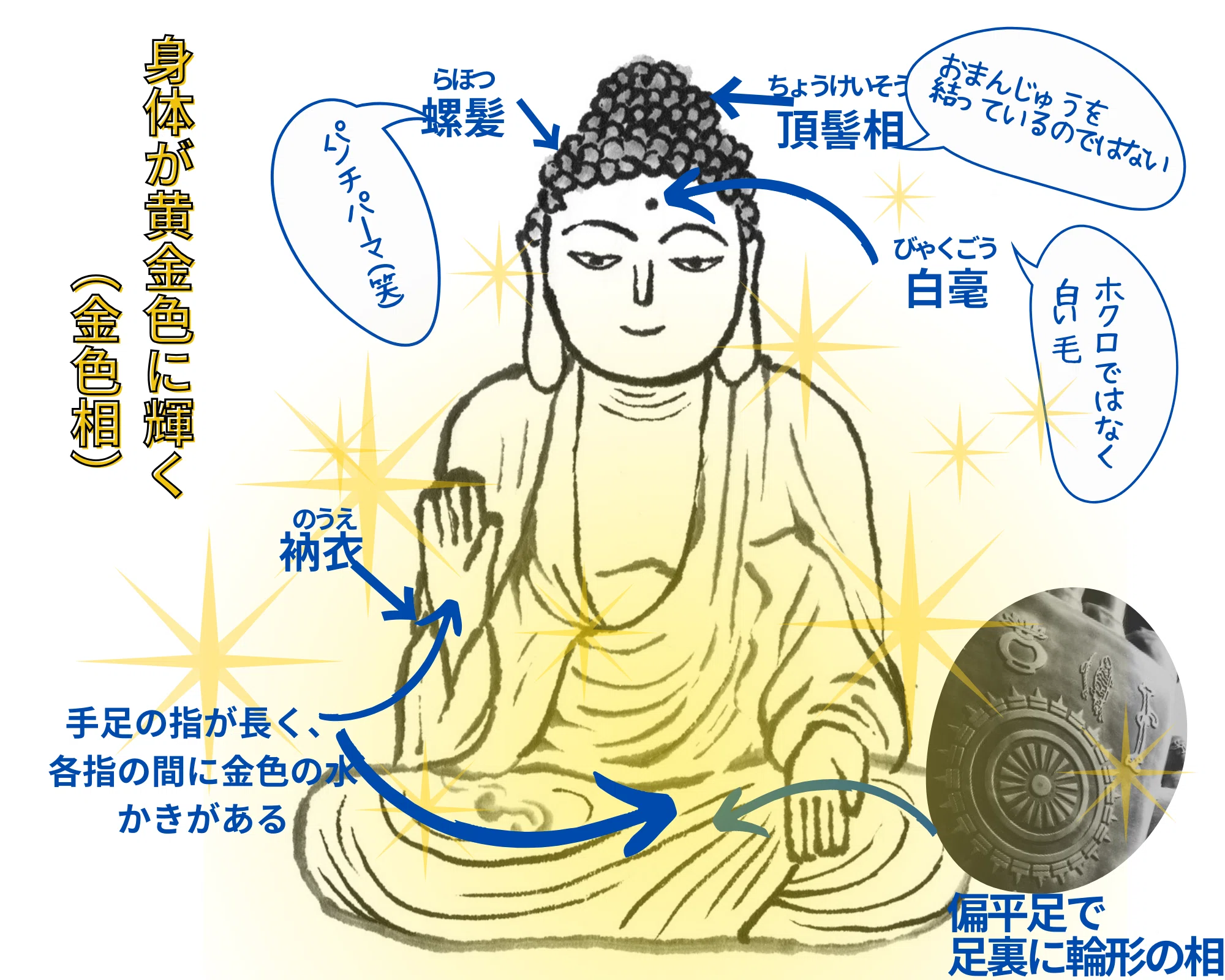 ②如来は真理の極め人ー仏像を知ると寺院めぐりが楽しくなる｜千世（ちせ）