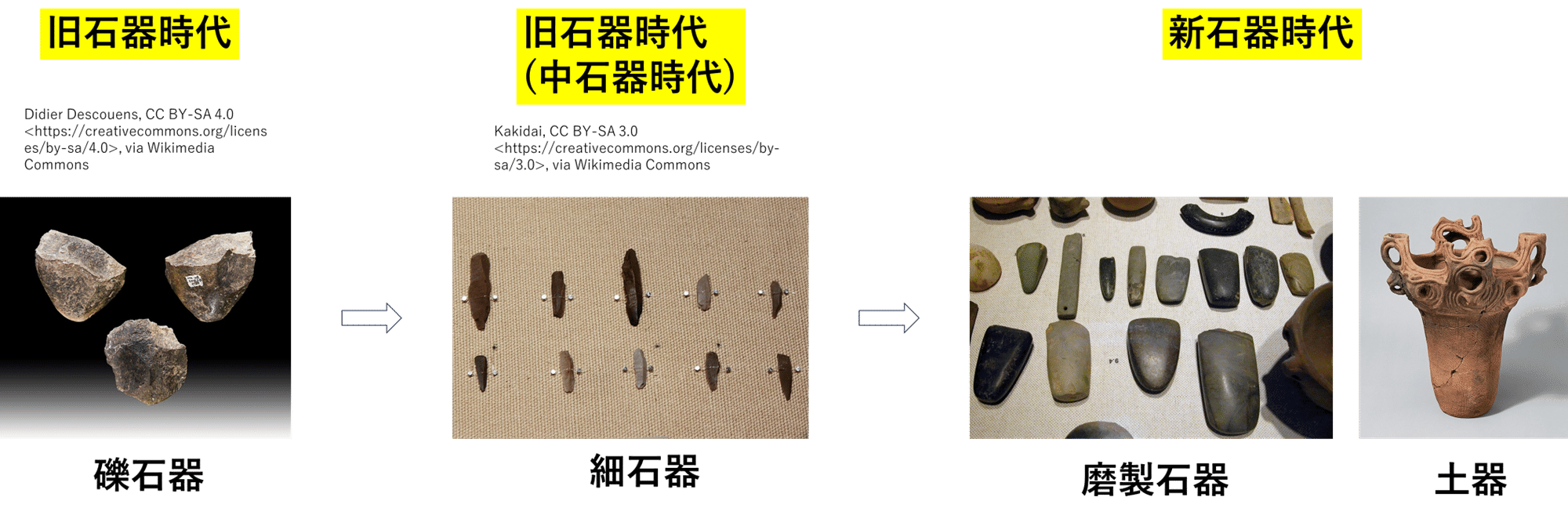 第7回 日本人の起源｜歴史の万華鏡
