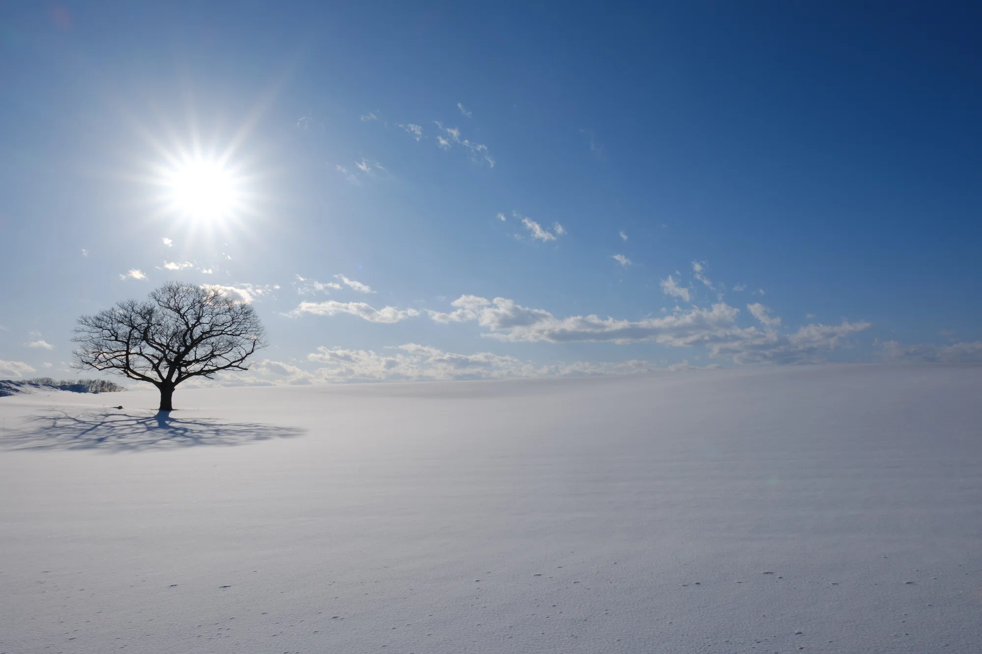 X-T5】雪景色を撮る 2025 雪景色には王道のフイルムシミュレーション
