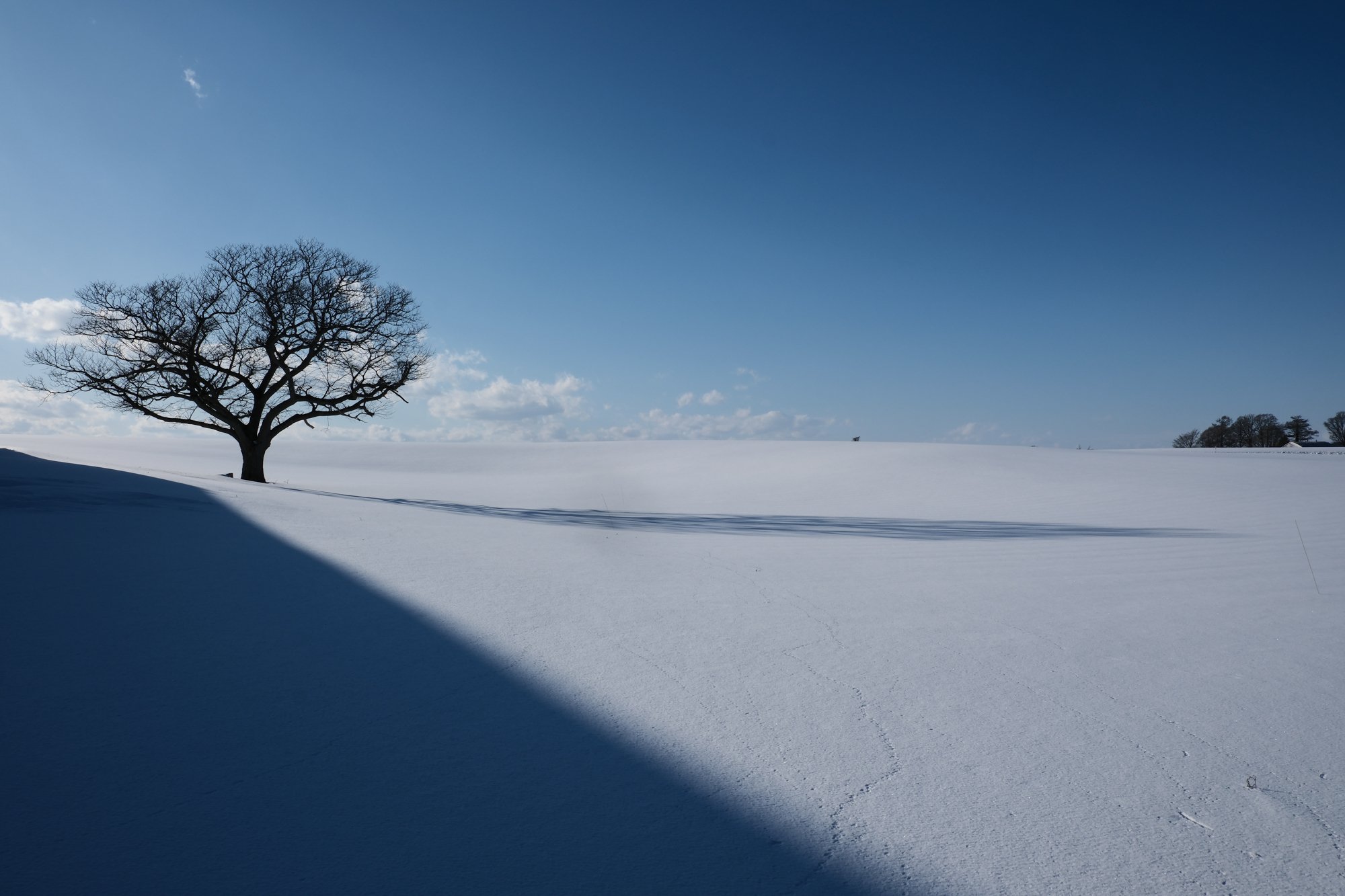 X-T5】雪景色を撮る 2025 雪景色には王道のフイルムシミュレーション