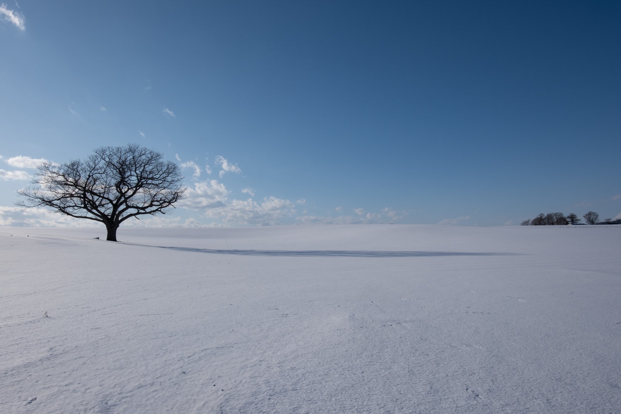 X-T5】雪景色を撮る 2025 雪景色には王道のフイルムシミュレーション