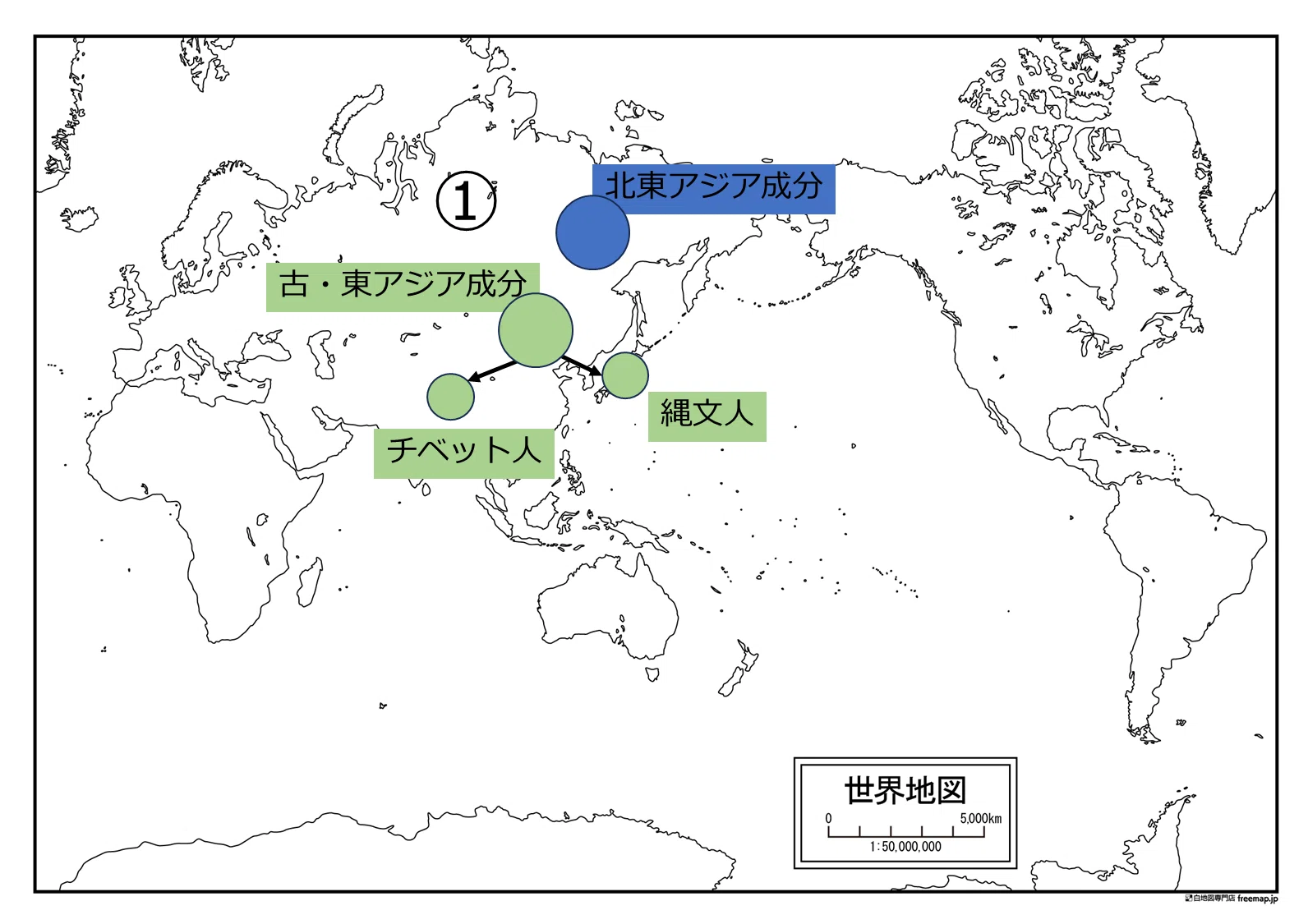 第7回 日本人の起源｜歴史の万華鏡