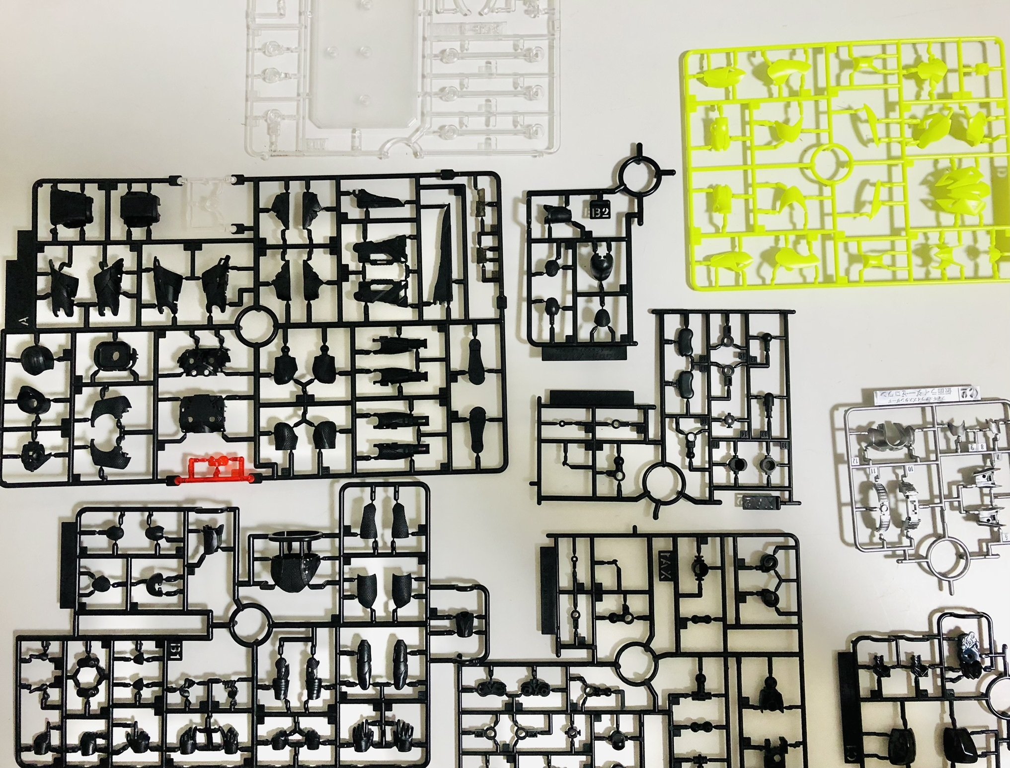 ライズ太郎 sddefault.jpg