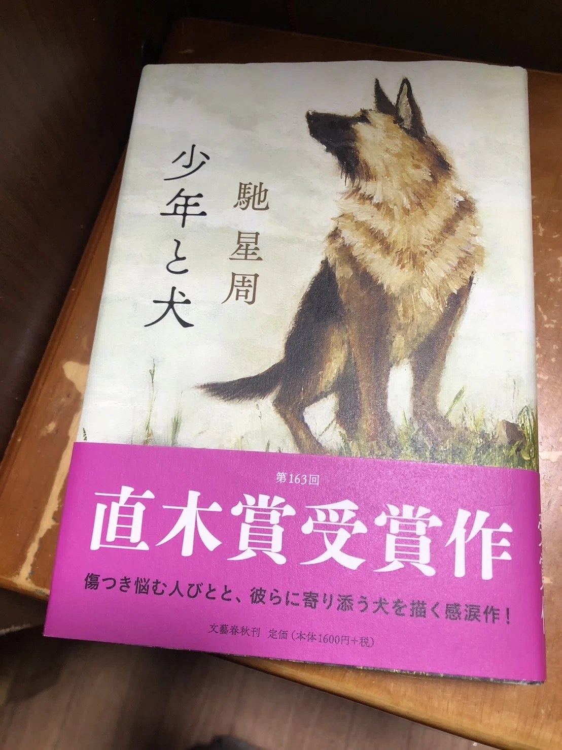 犬のいる小説 「少年と犬」を読む｜（花鳥風月）ikesan