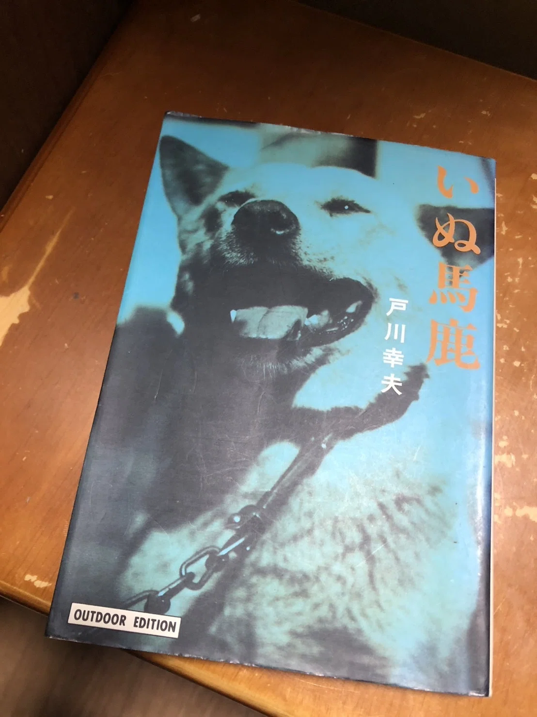 犬のいる小説 「少年と犬」を読む｜（花鳥風月）ikesan
