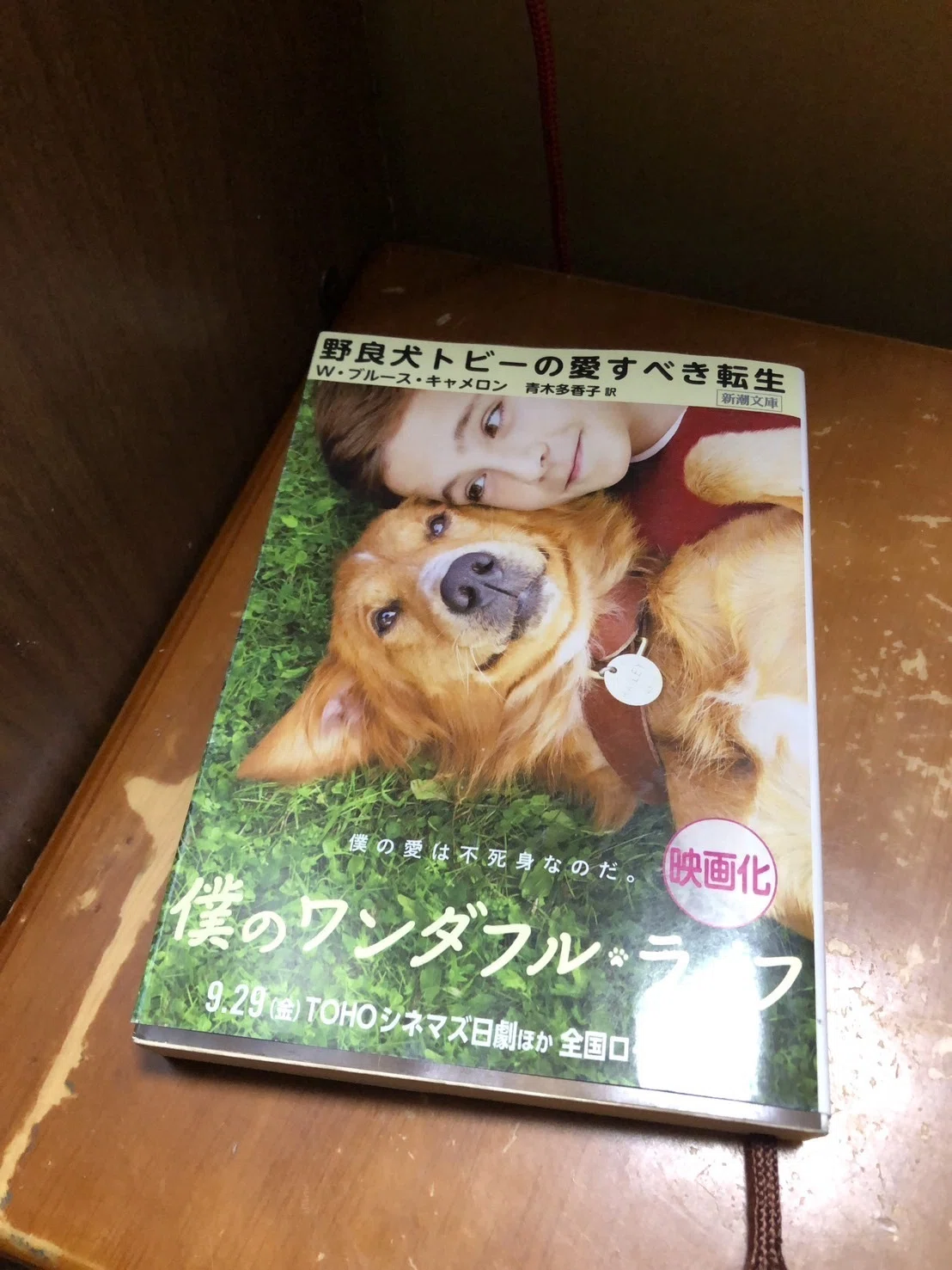 犬のいる小説 「少年と犬」を読む｜（花鳥風月）ikesan