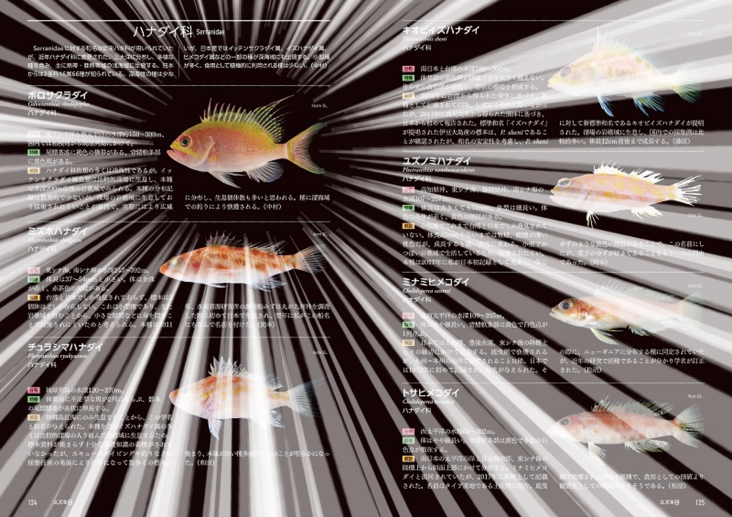第3回 釣りはもっとも手軽な深海魚調査です。 いおワールドかごしま