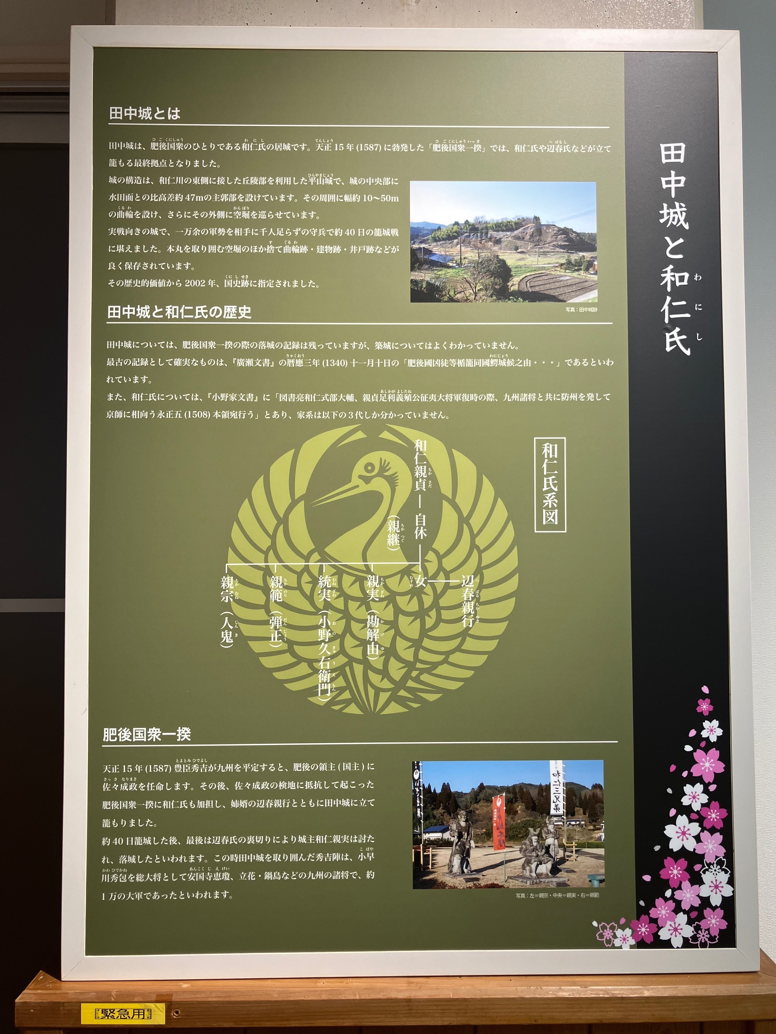 中世肥後の終焉〜 肥後国衆一揆最後の砦⚔️田中城跡|Desert Rose 中世肥後の終焉〜 肥後国衆一揆最後の砦⚔️田中城跡|Desert Rose
