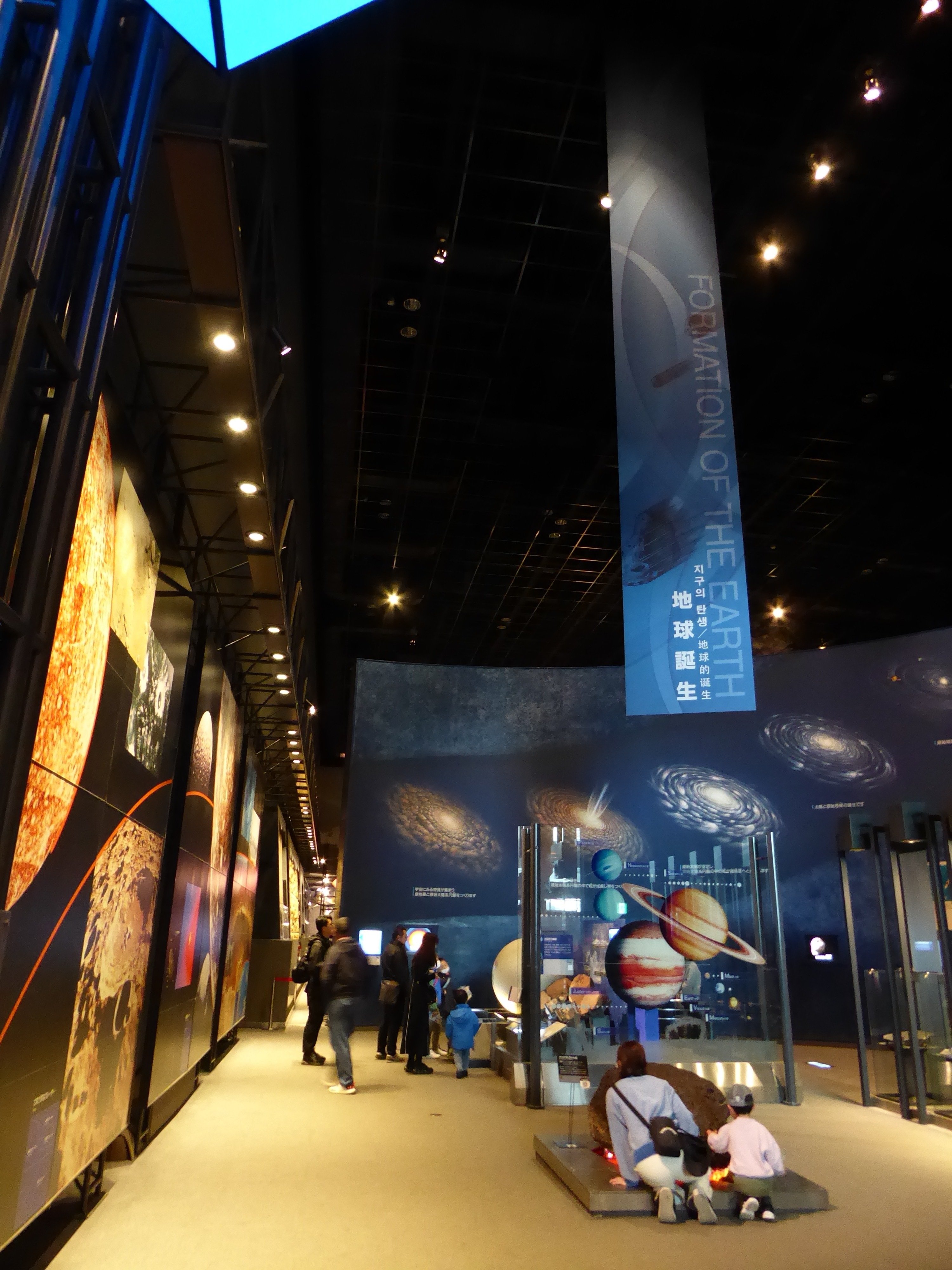 【貴重書】生き物を描く　サイエンスのための精密描画　生命の星地球博物館展示解説書 改訂第2版】生命の星・地球博物館 展示解説書 | 神奈川県立 生命の星