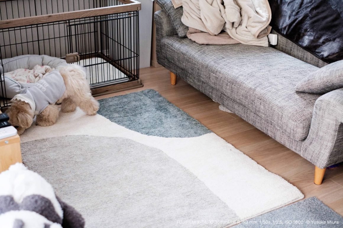 さよなら、ぺしゃんこラグ。新しいくつろぎの時間へ。｜Yusuke Miura