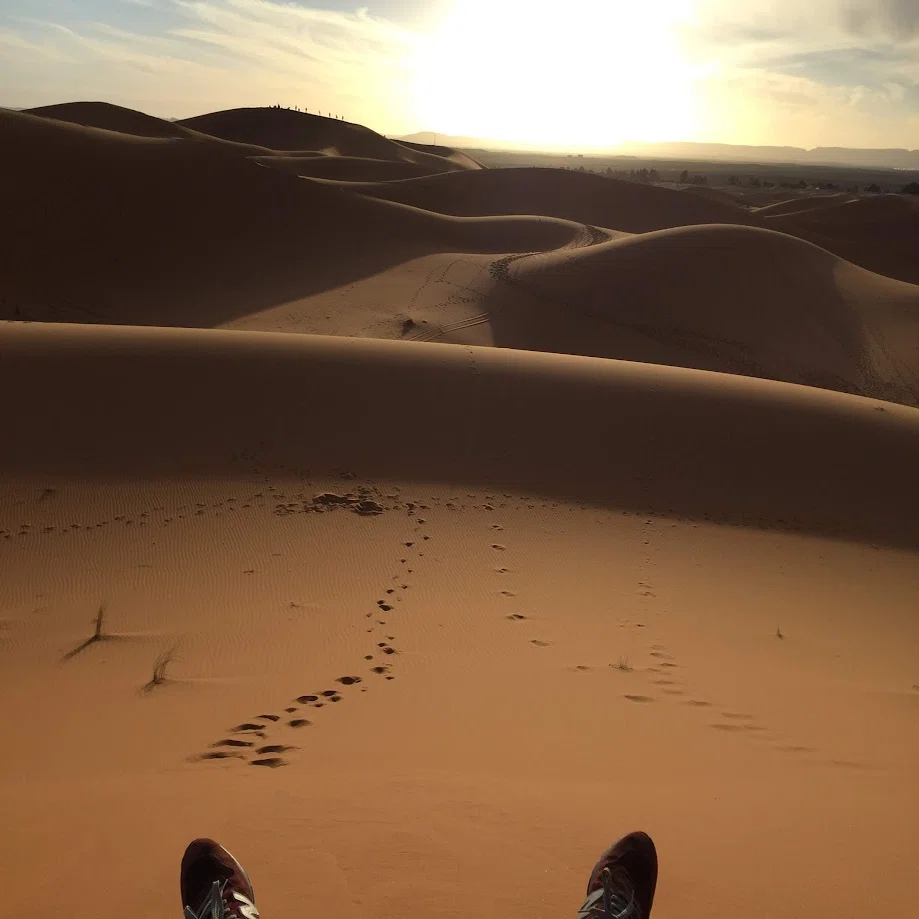 モロッコ 7日目 サハラ砂漠で語り合う｜ラクダ道