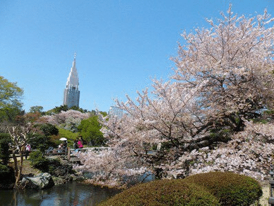 新宿御苑
