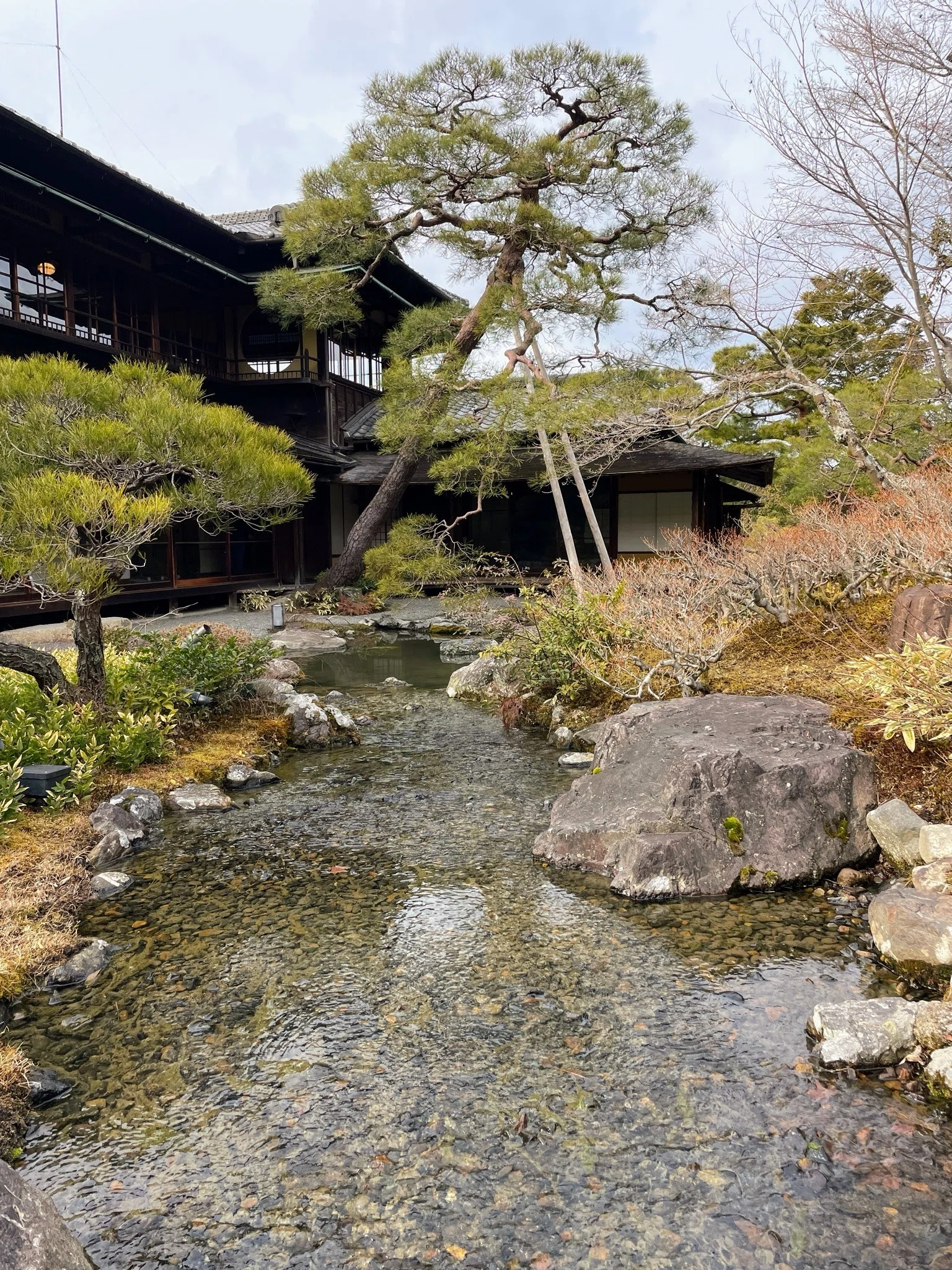 お値段以上” の「對龍山荘」 京都・南禅寺界隈別荘群｜美術館とお寺と猫