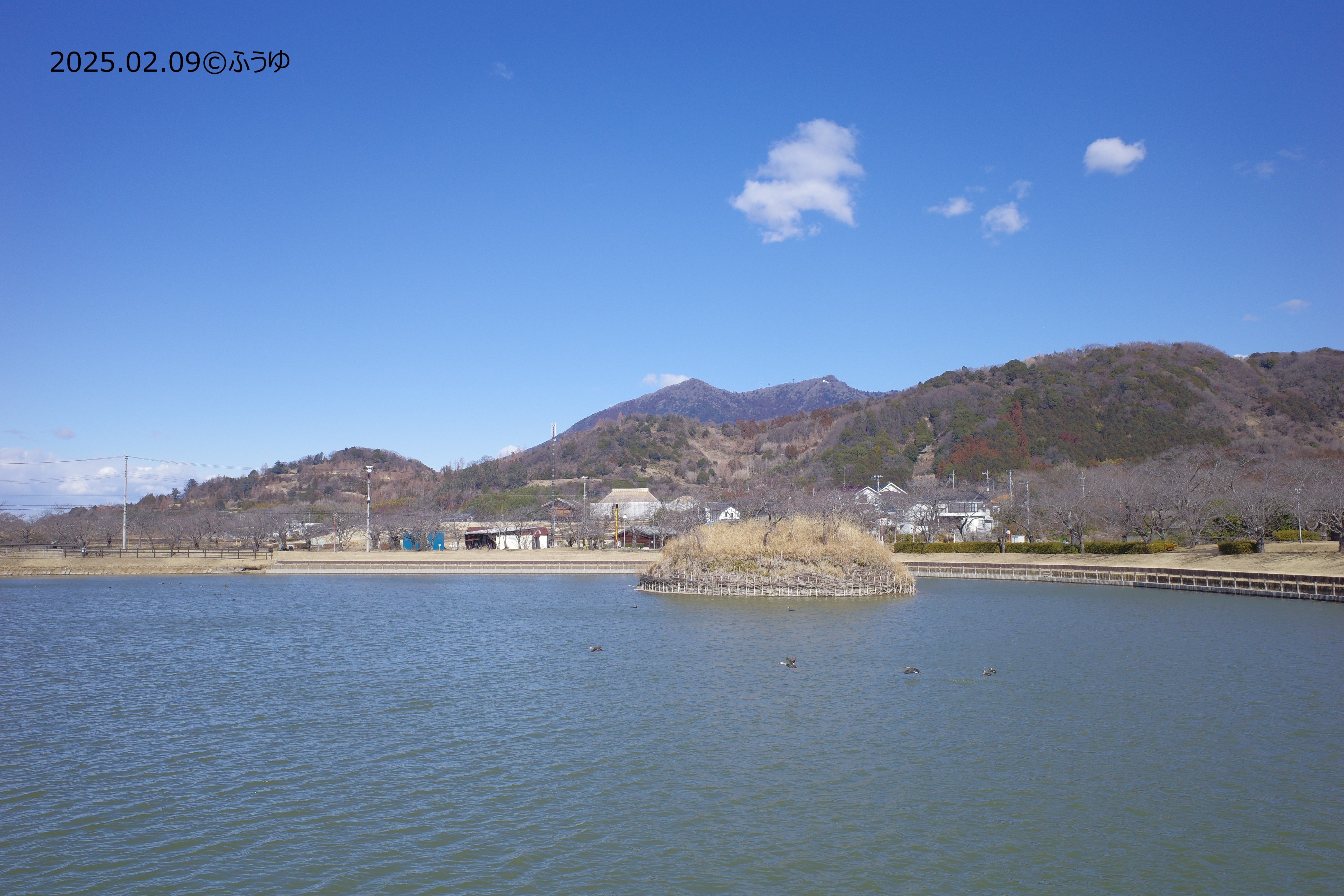 小田山麓を歩く 小田山麓を歩く 小田山麓を歩く 小田山麓を歩く 小田山麓を歩く