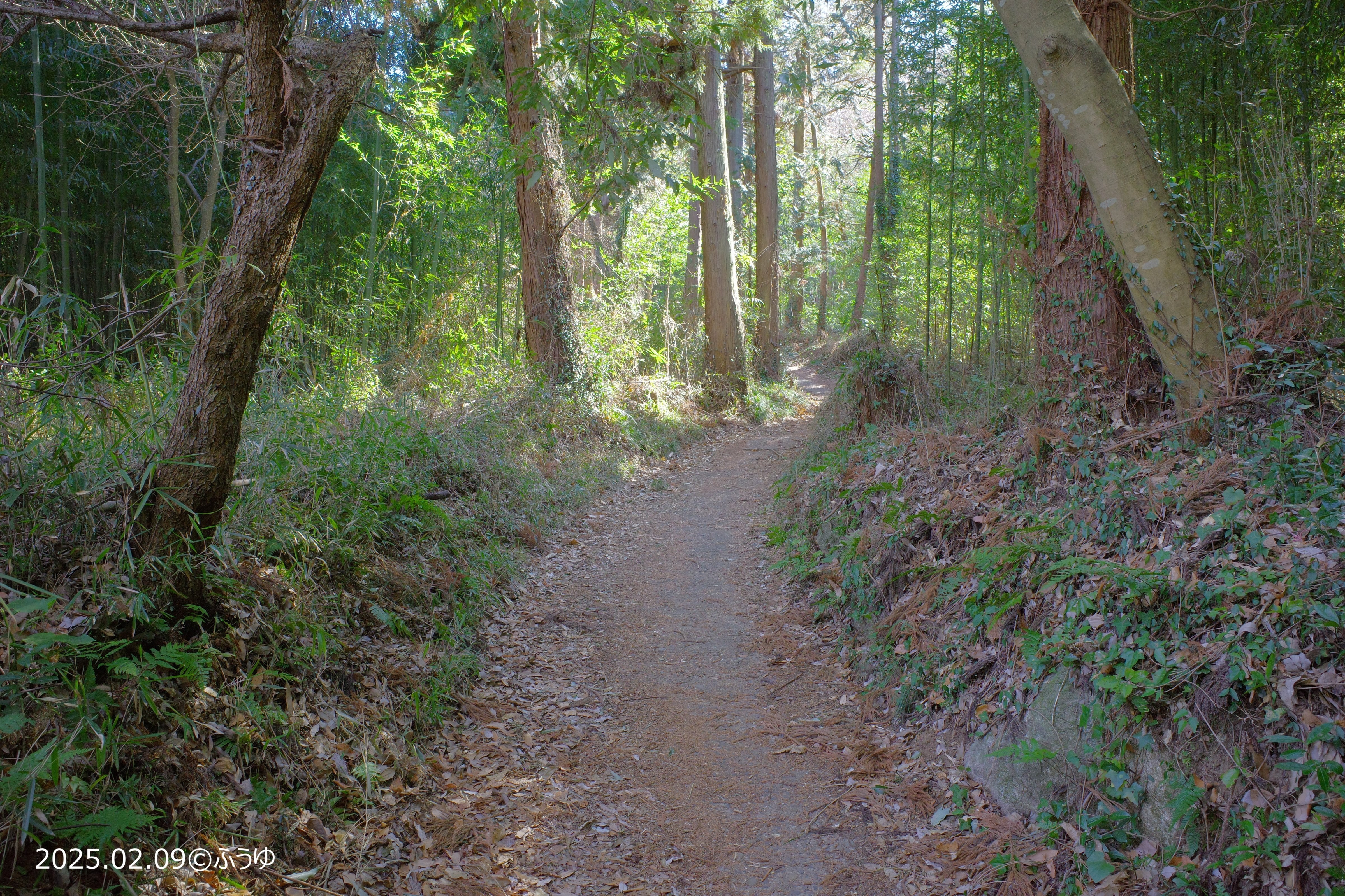 小田山麓を歩く Cycling to heal the soul 二十曲峠テラスには、癒しの景色が