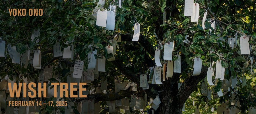 🌳オノ・ヨーコ🌳Wish Tree🌳｜naho-21