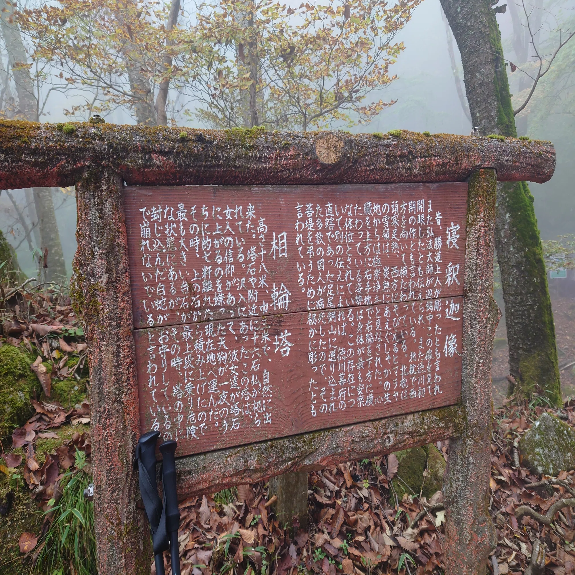 中高年は山野をめざす③｜いたみ