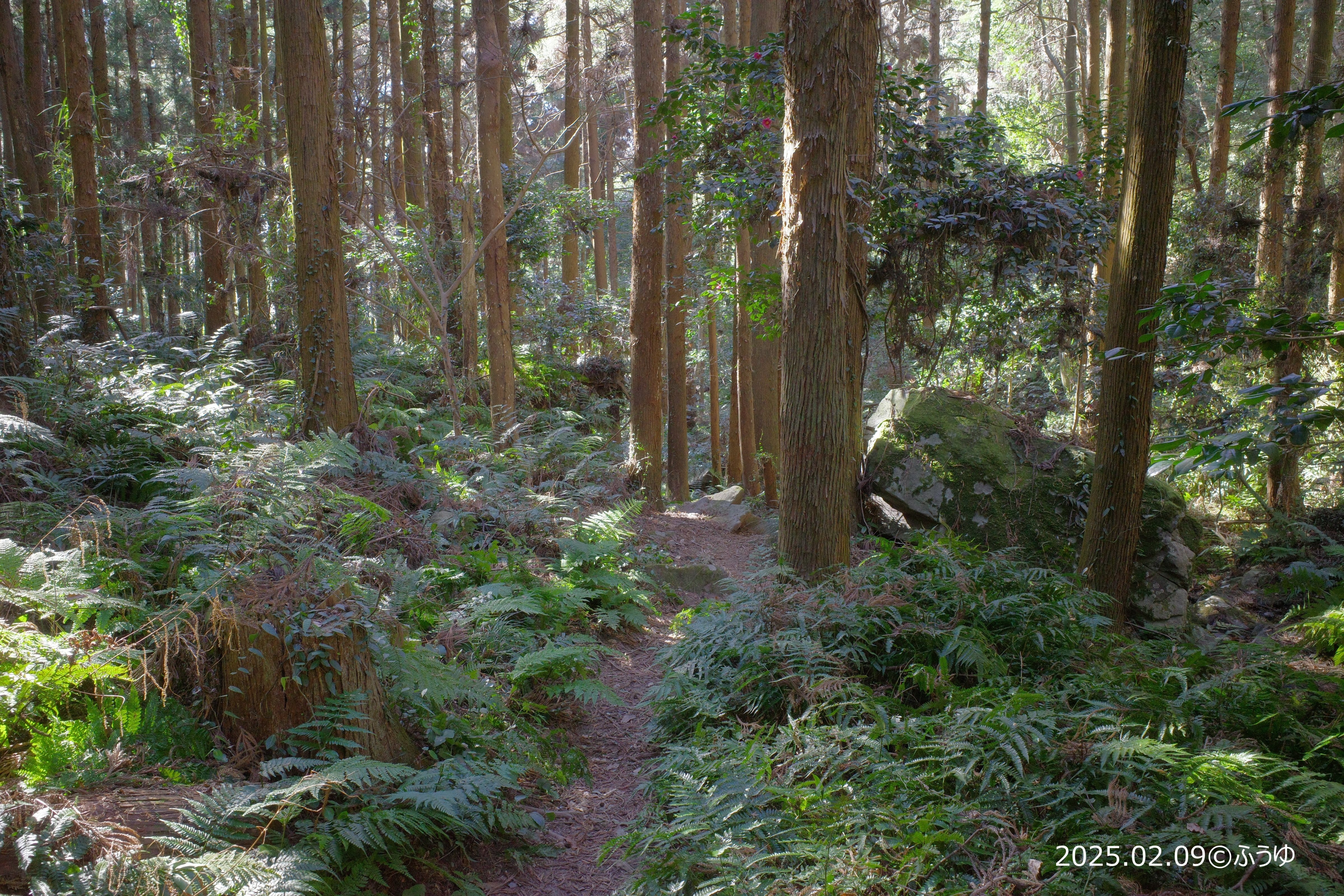 山歩き記録 第110歩】宝篋山（2025年2月9日）【理想の低山ここに