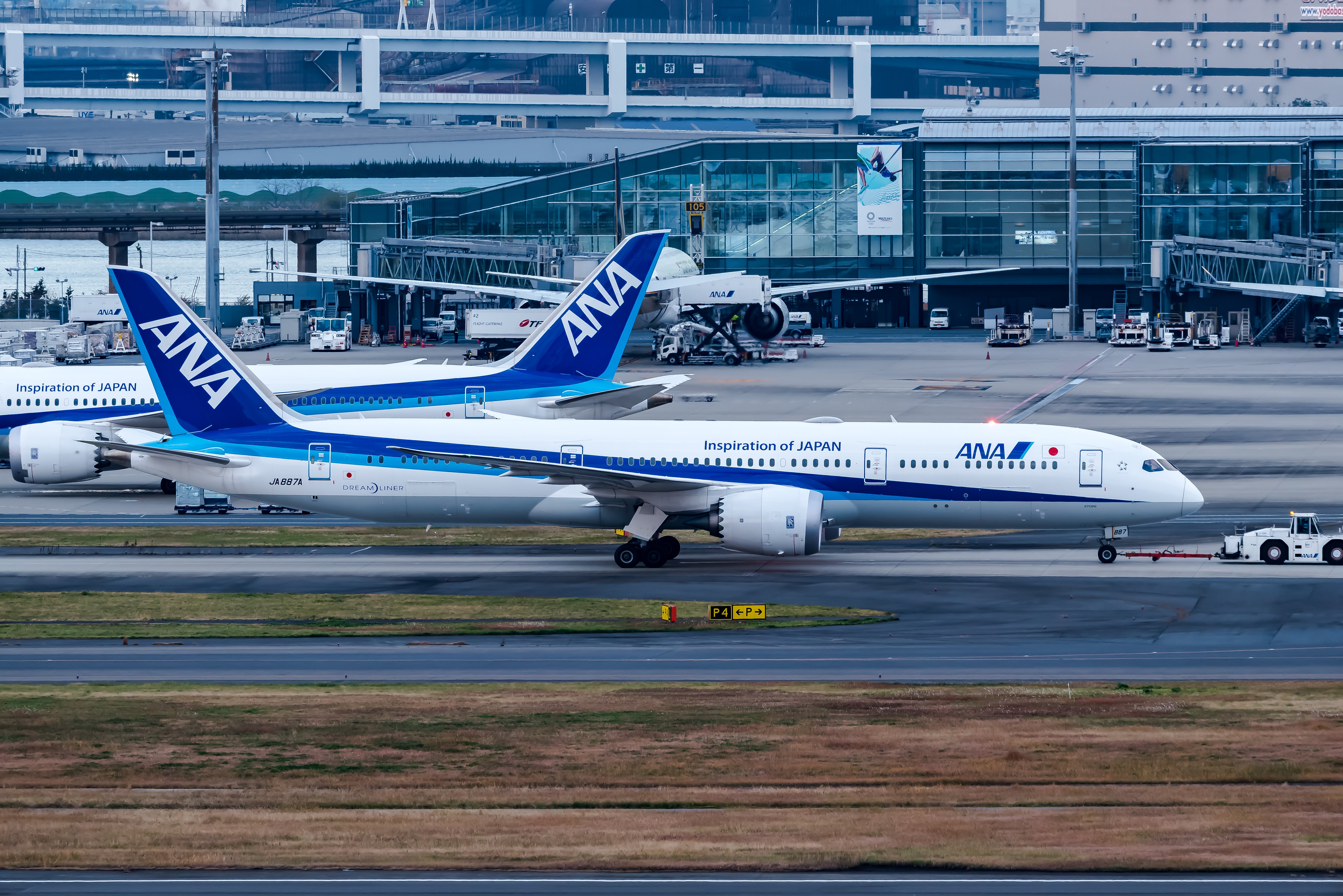 ANA Boeing 787-8 Scale 1:200 全日空 ボーイング 787-8