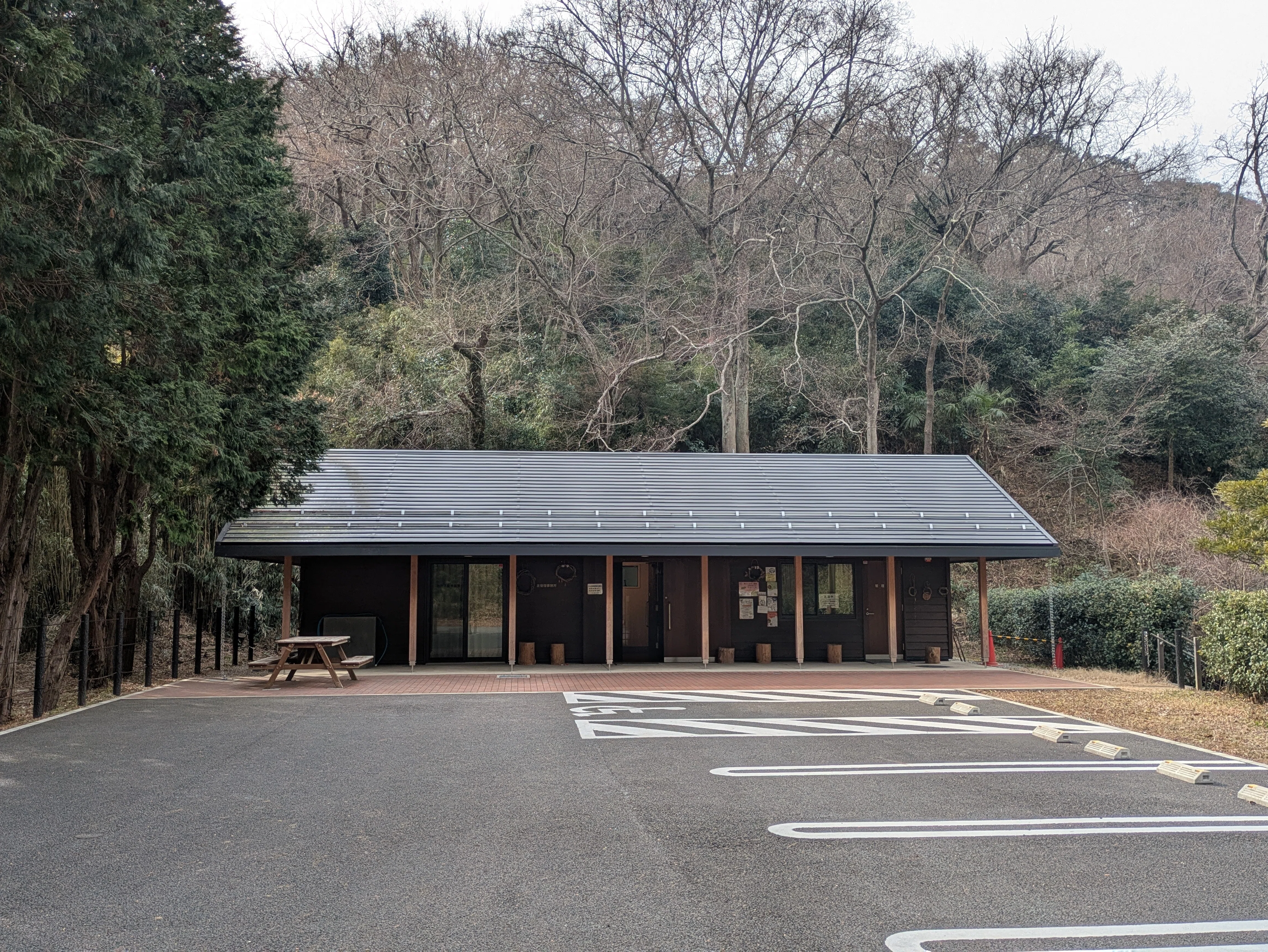 北鎌倉山崎、北大路魯山人の星岡窯跡を歩く｜家系図ミラケル