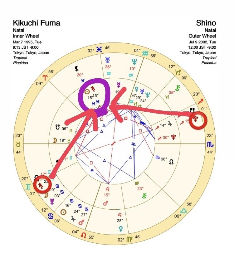 Sagittarius ♐️ May 2025 ☆ Take advantage of the