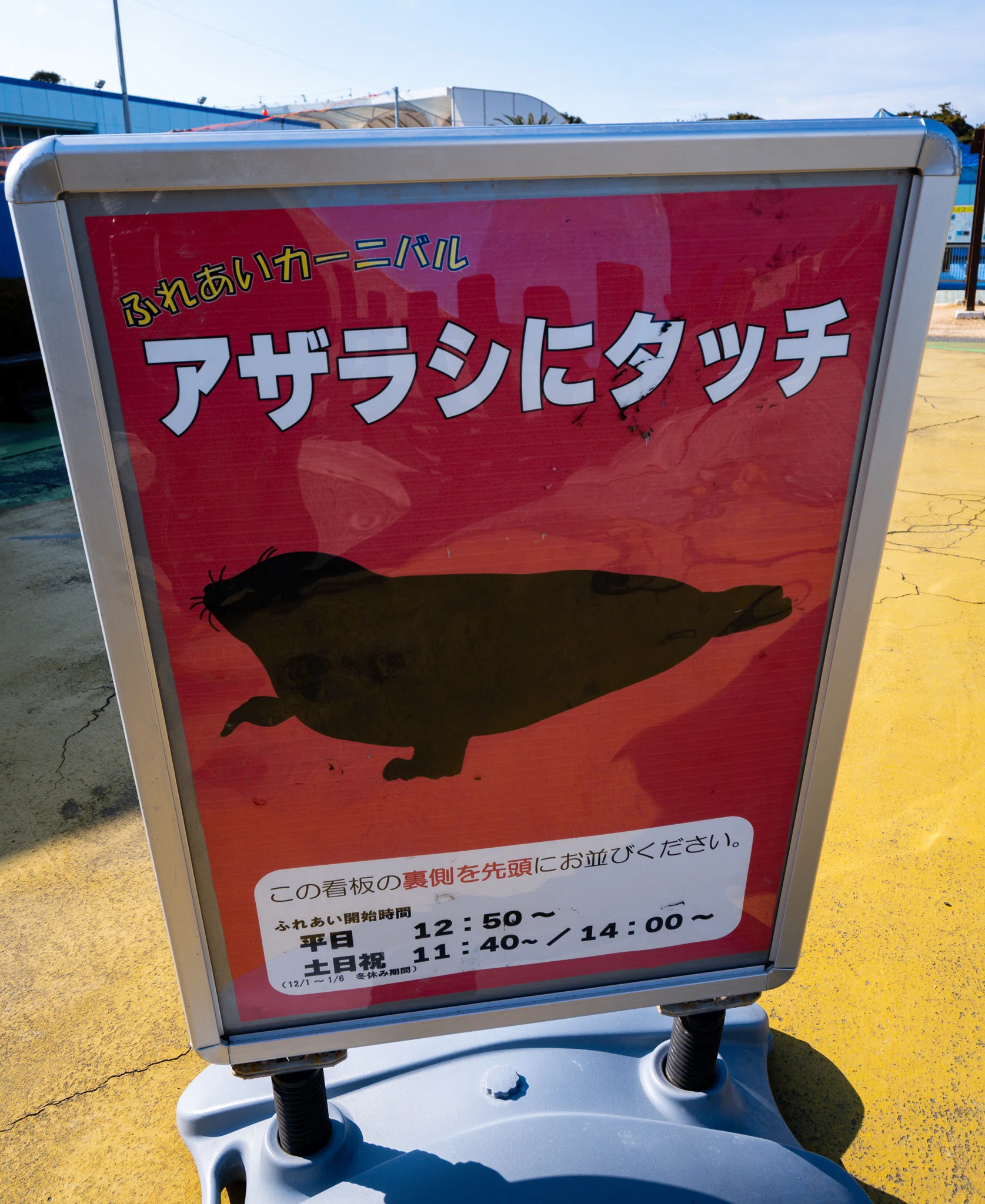 日本のアザラシ探訪記⑥東山動植物園・南知多ビーチランド｜ヒロサキ
