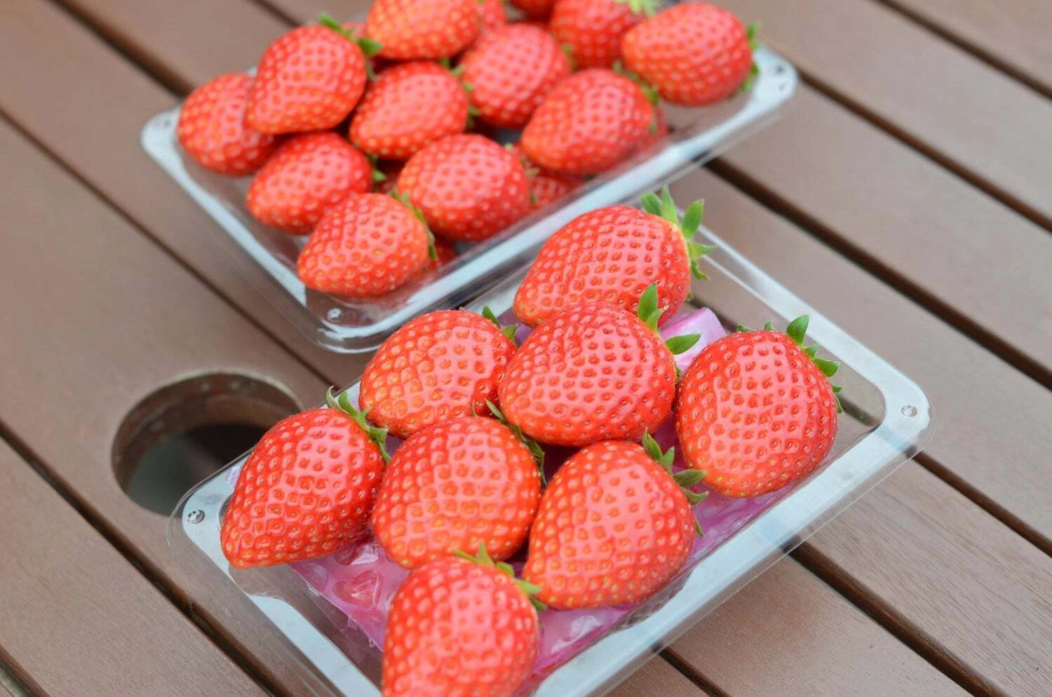 とちおとめ」はバランスのイチゴ。手間がかかる品種は失われていくのか