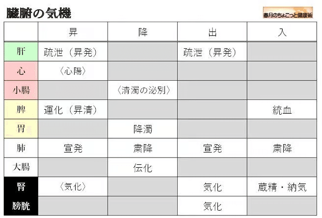 東洋医学講座 第三巻 脾臓・肺臓・腎臓編ー脾・肺・腎系統の機能