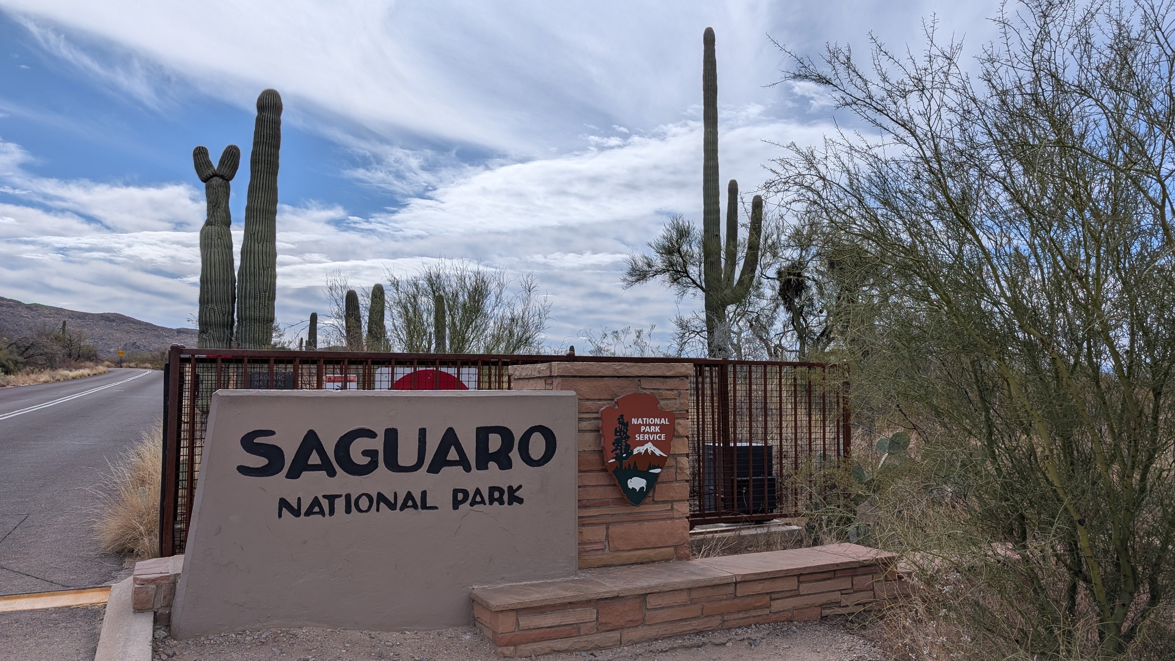 サボテンだらけの砂漠の街 アリゾナ州ツーソンに行ってきた｜tabirow