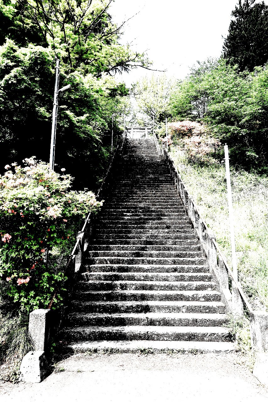 tumblr 白熊さん 流出ハメ画