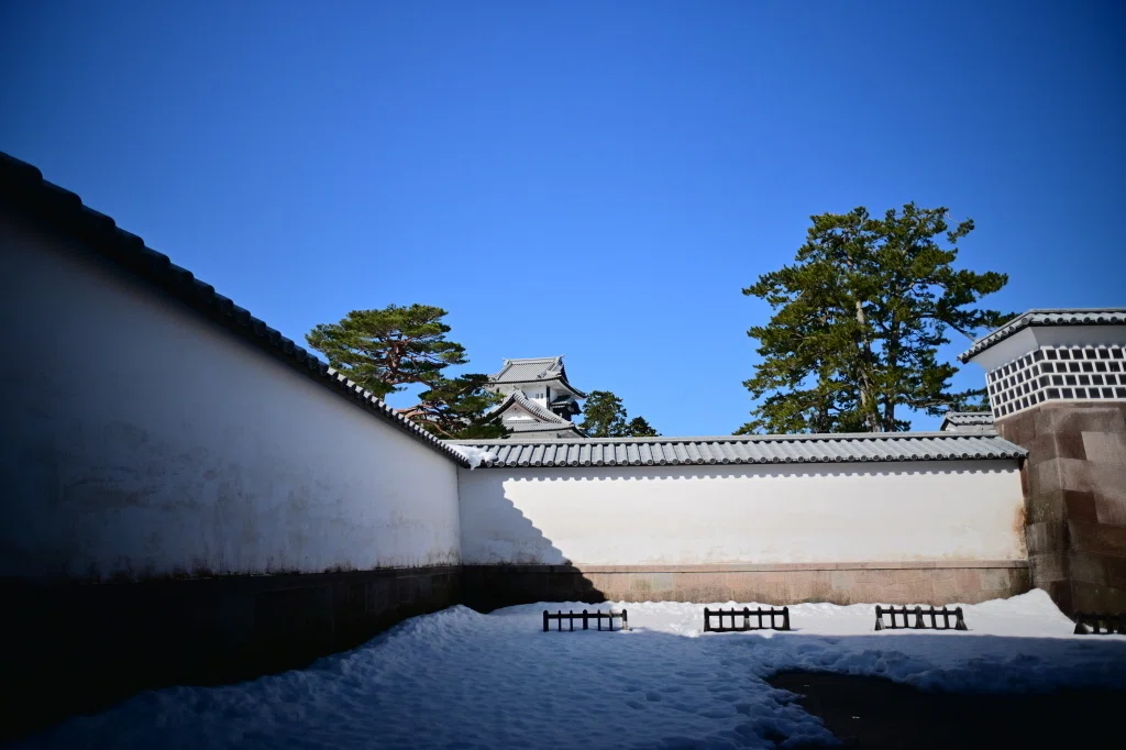 レンズ沼の歩き方」NIKON Ai-Nikkor 20mm F3.5｜saphirinus