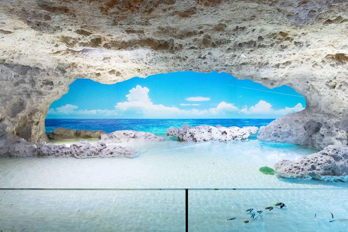沖縄 DMMかりゆし水族館