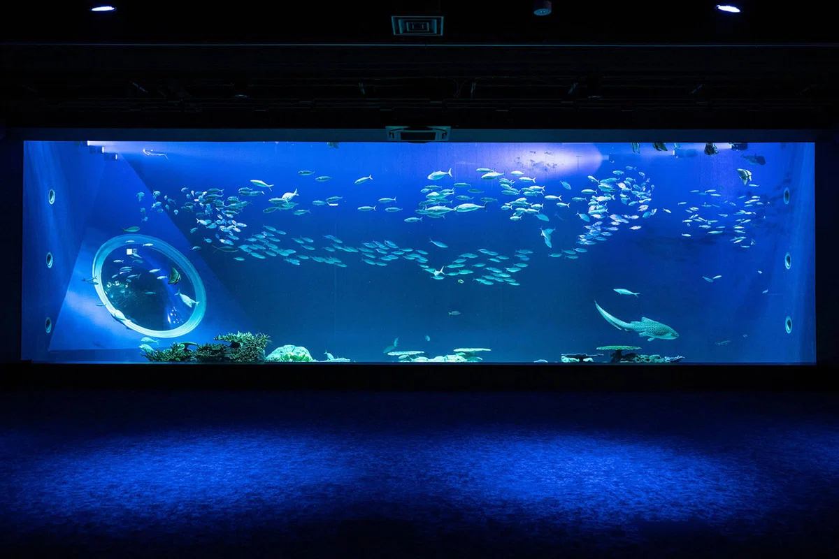 沖縄&nbsp;DMMかりゆし水族館