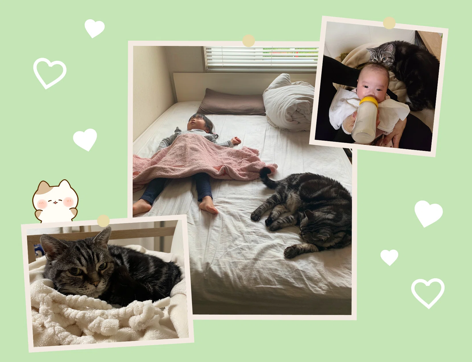 📅 猫の日特別企画🐱 もふもふ12選！社員のねこちゃん大集合💕｜東証
