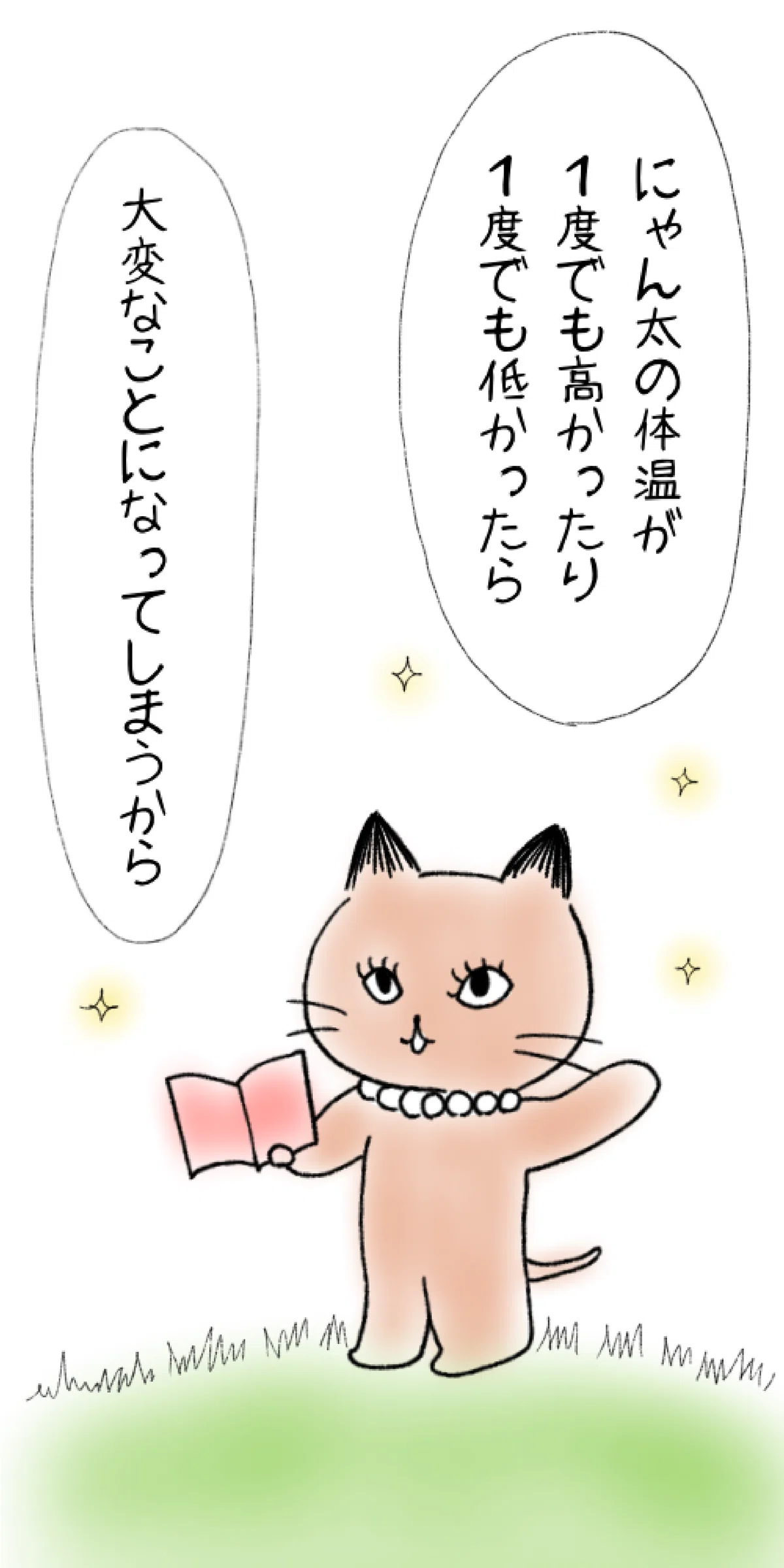 キャミーとにゃん太は大正解 vol.4|キラキラたましい子
