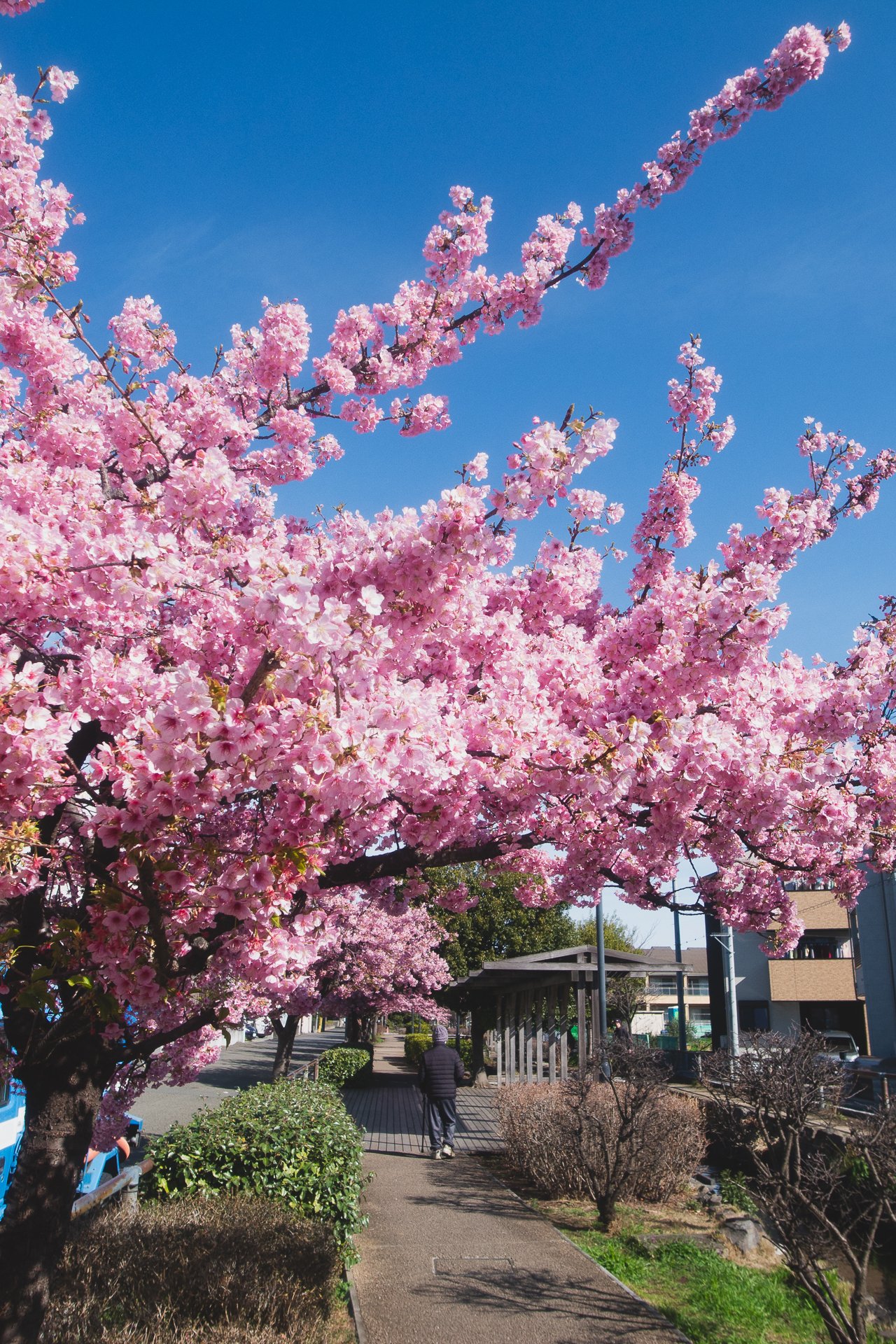 写真撮影全科 KPI_001 | photonext2025