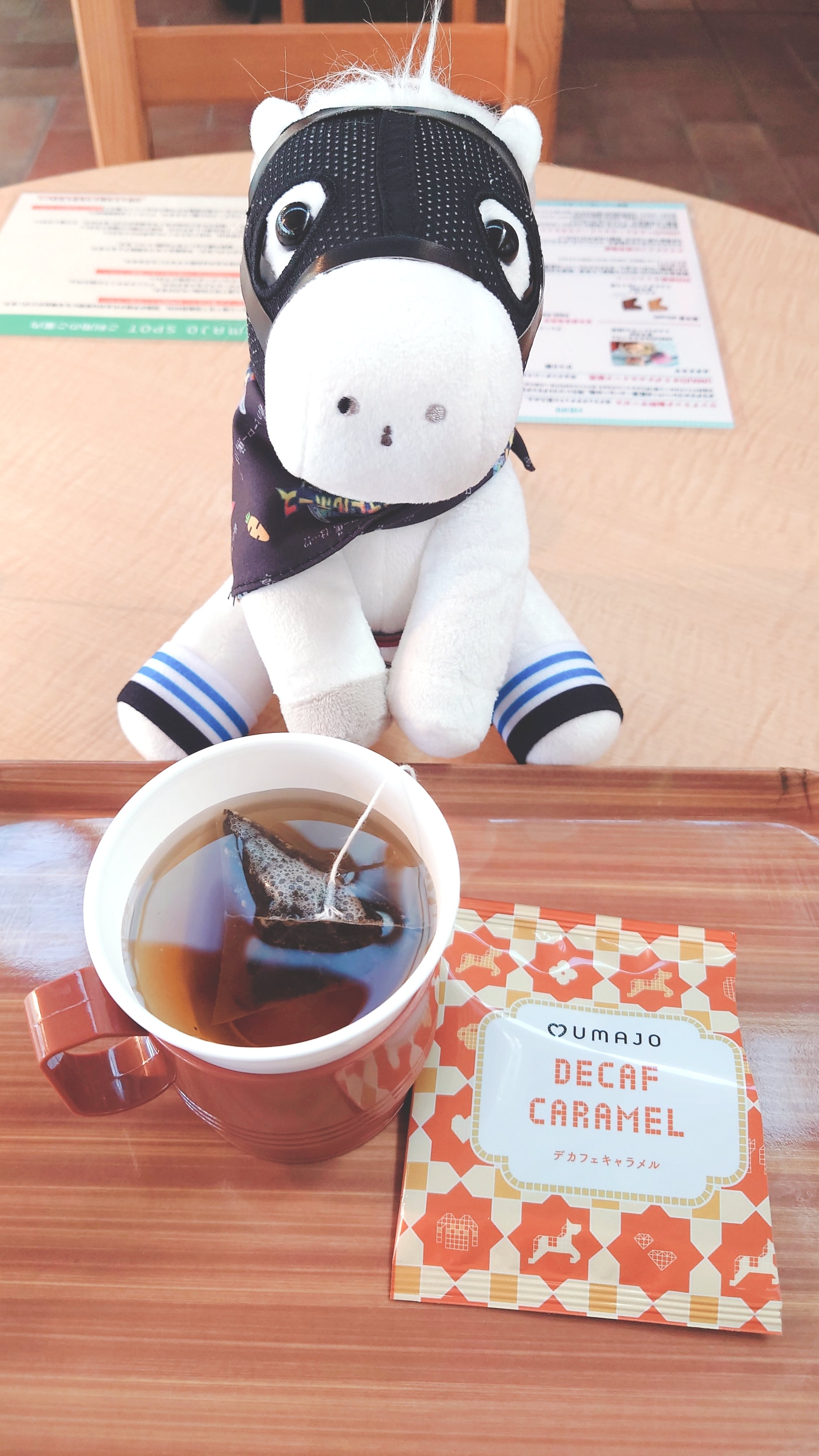 ハヤヤッコのぬい｜あめの
