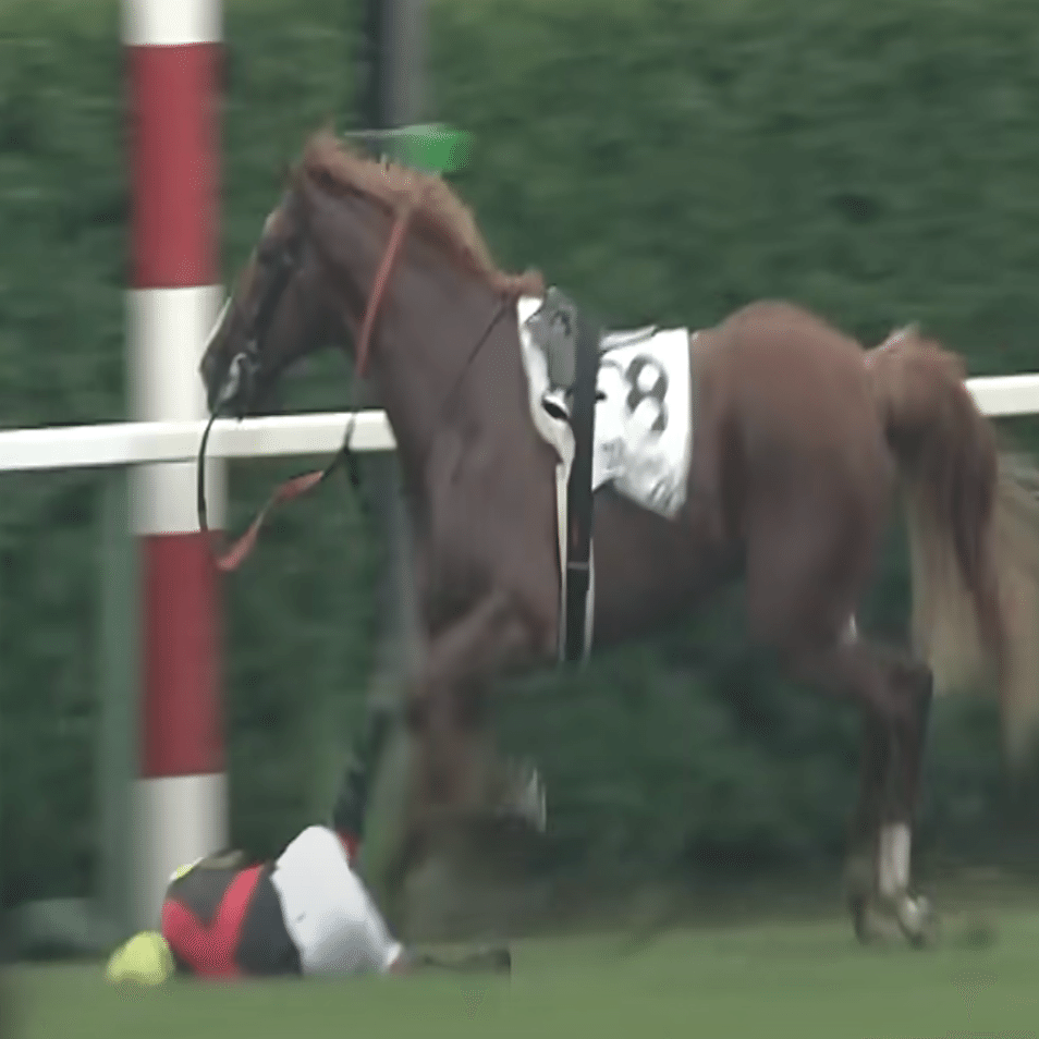 UMA] ウマ娘オルフェーヴル実装直前！？初心者も楽しめる基本解説