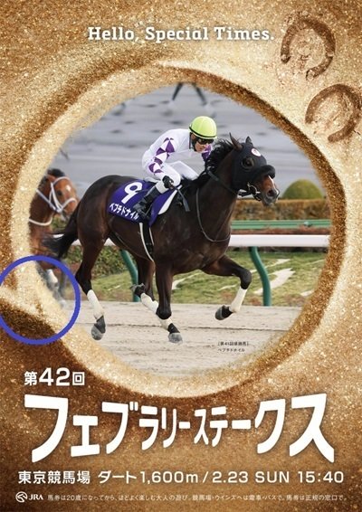 2025フェブラリーステークス ポスター|日本サイン競馬会 2025フェブラリーステークス ポスター|日本サイン競馬会