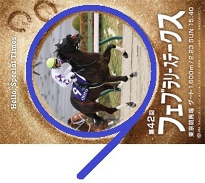 2025フェブラリーステークス ポスター｜日本サイン競馬会