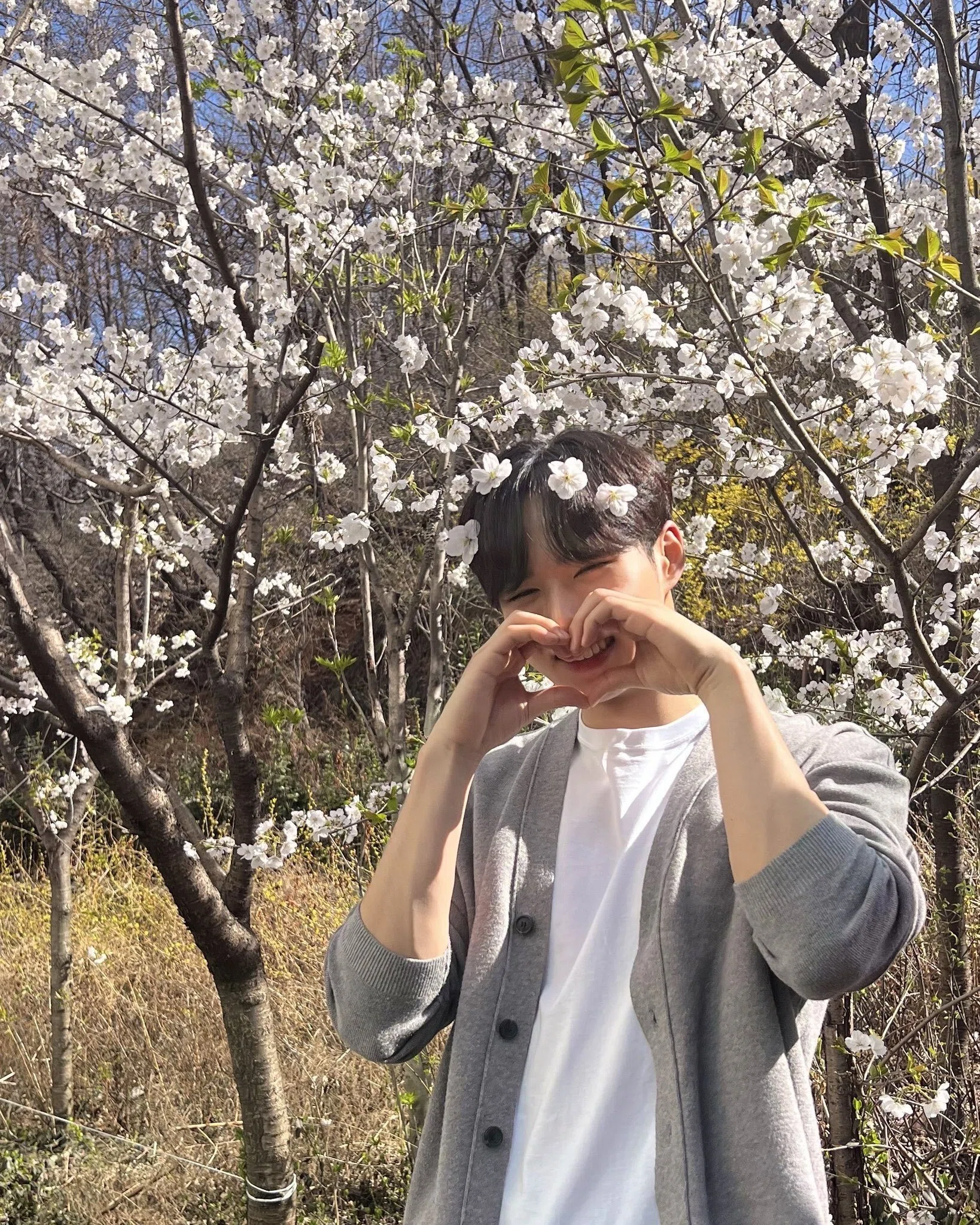 私の太陽について｜🎹